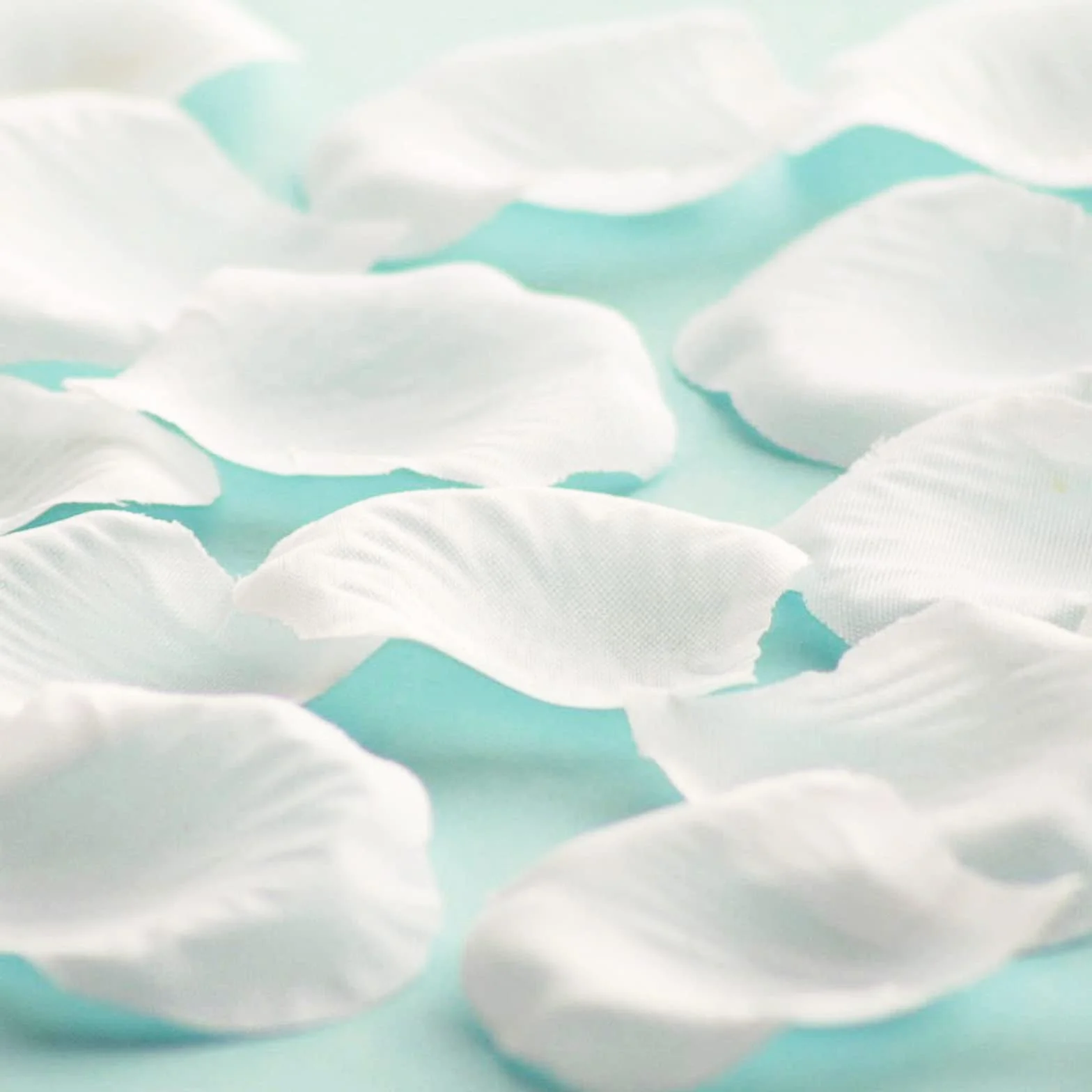 OWLKELA 5000 Piezas Pétalos Blanco Artificiales, Pétalos Blanco, Pétalos de Rosa - Día de San Valentín, Boda, Centro de Mesa, Cumpleaños, Ambiente Romántico