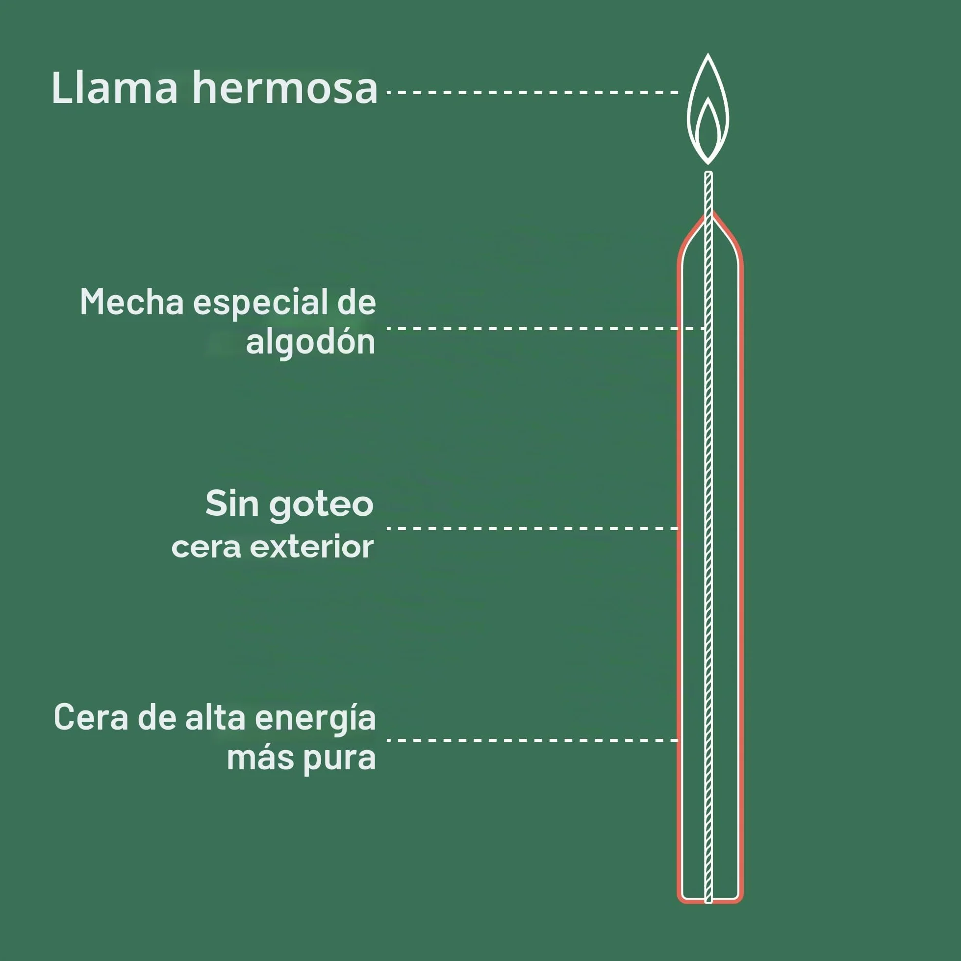 Bolsius Velas cónicas cena Marfil 23 cm 8 horas Larga duración Paquete 8