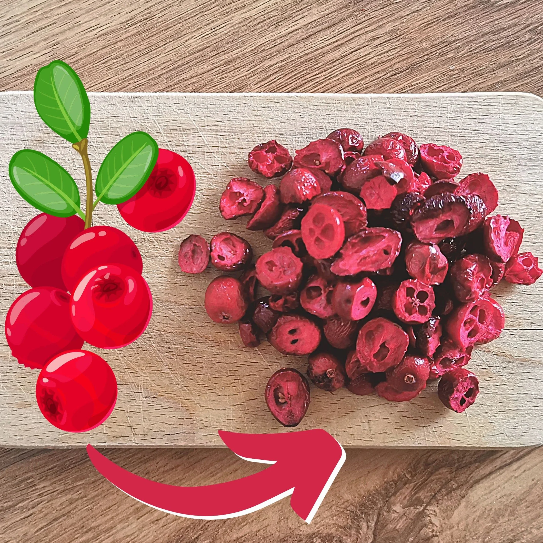 Arandano Rojo Liofilizado 100% Natural Frutas Deshidratadas Cranberry Freeze Dried Fruit ZingyZoo