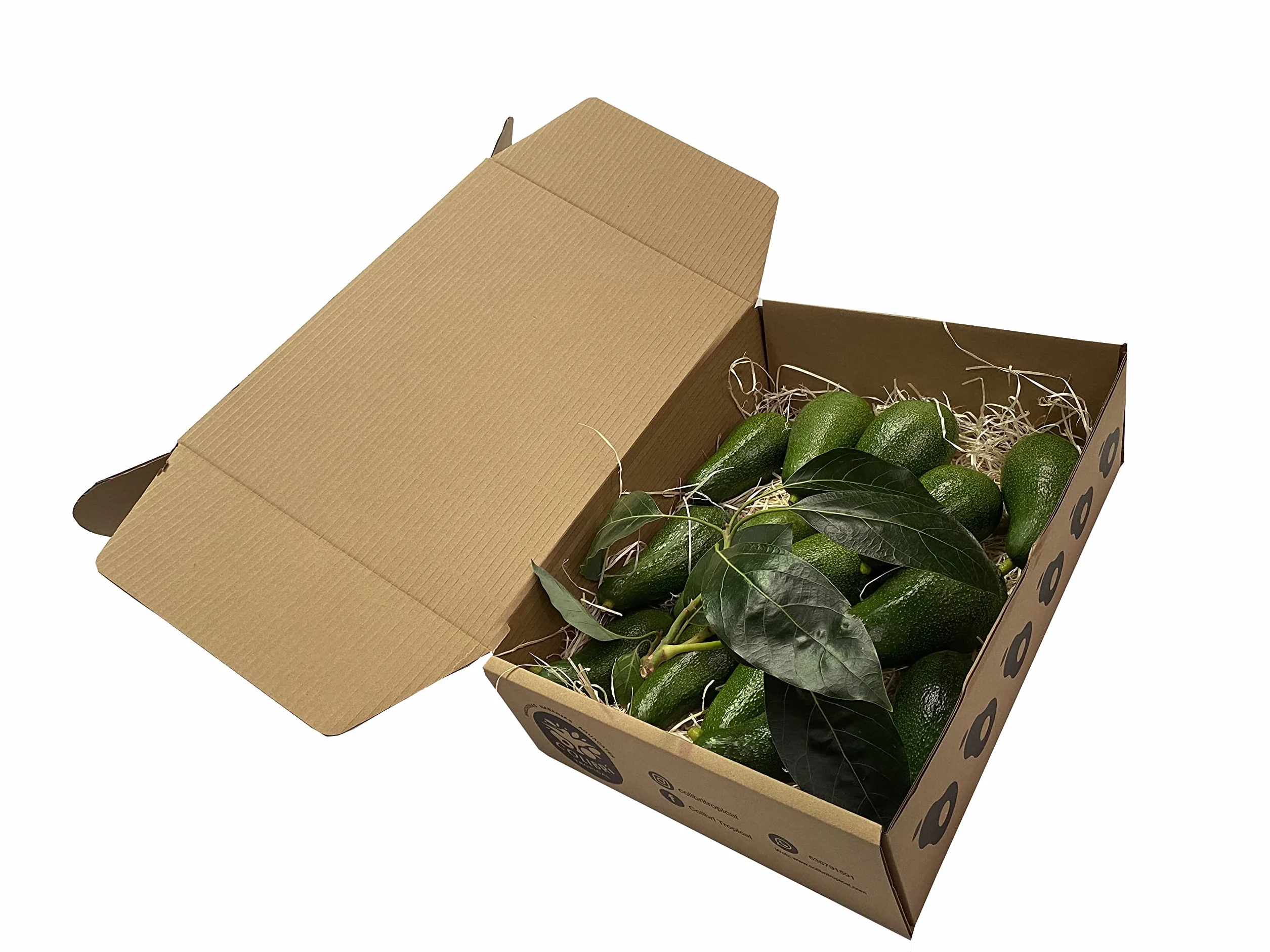 Aguacates LAMB HASS 4Kg (14-16 piezas) Producción propia sin químicos