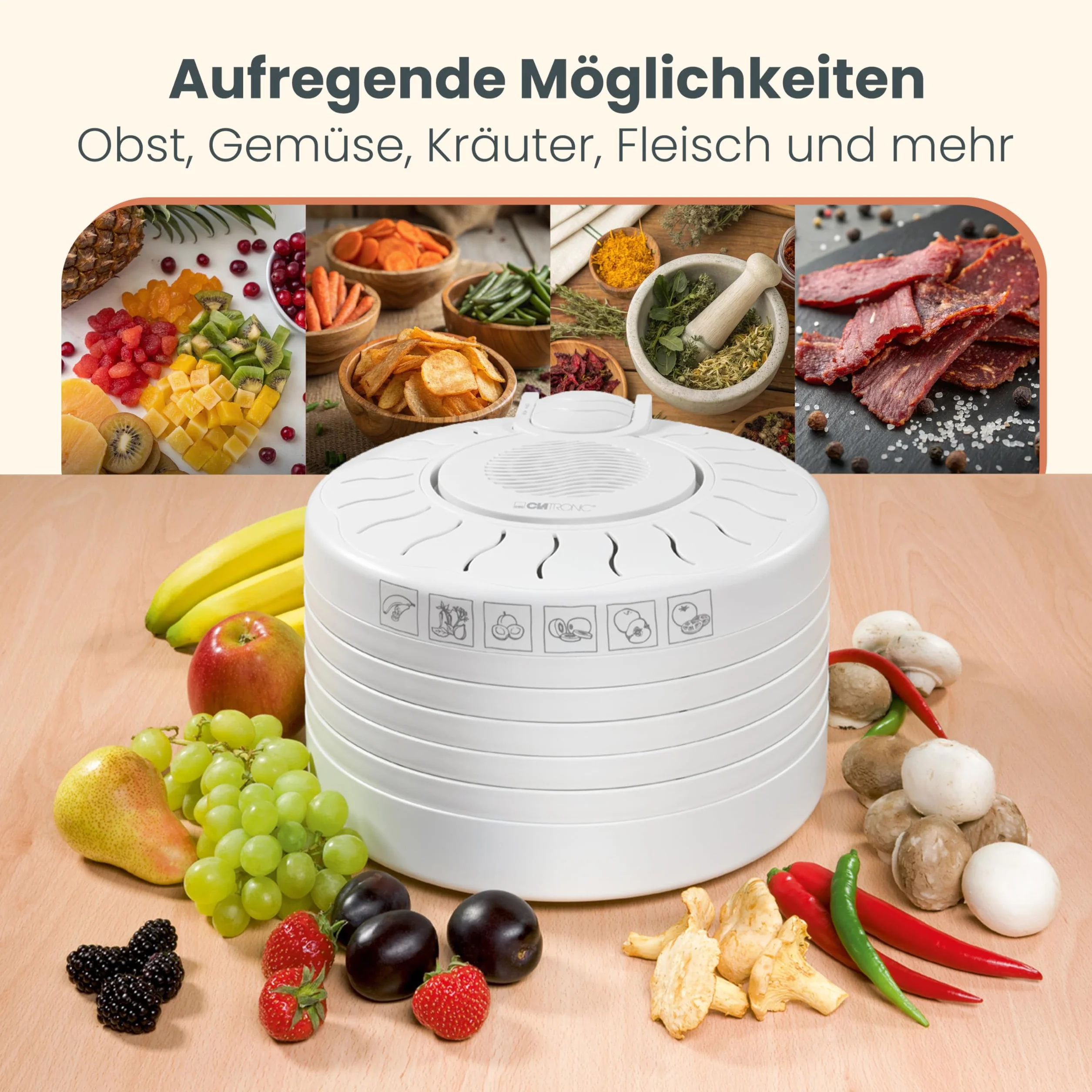 Clatronic DR 2751 Deshidratador de alimentos 250 W 5 bandejas blanco