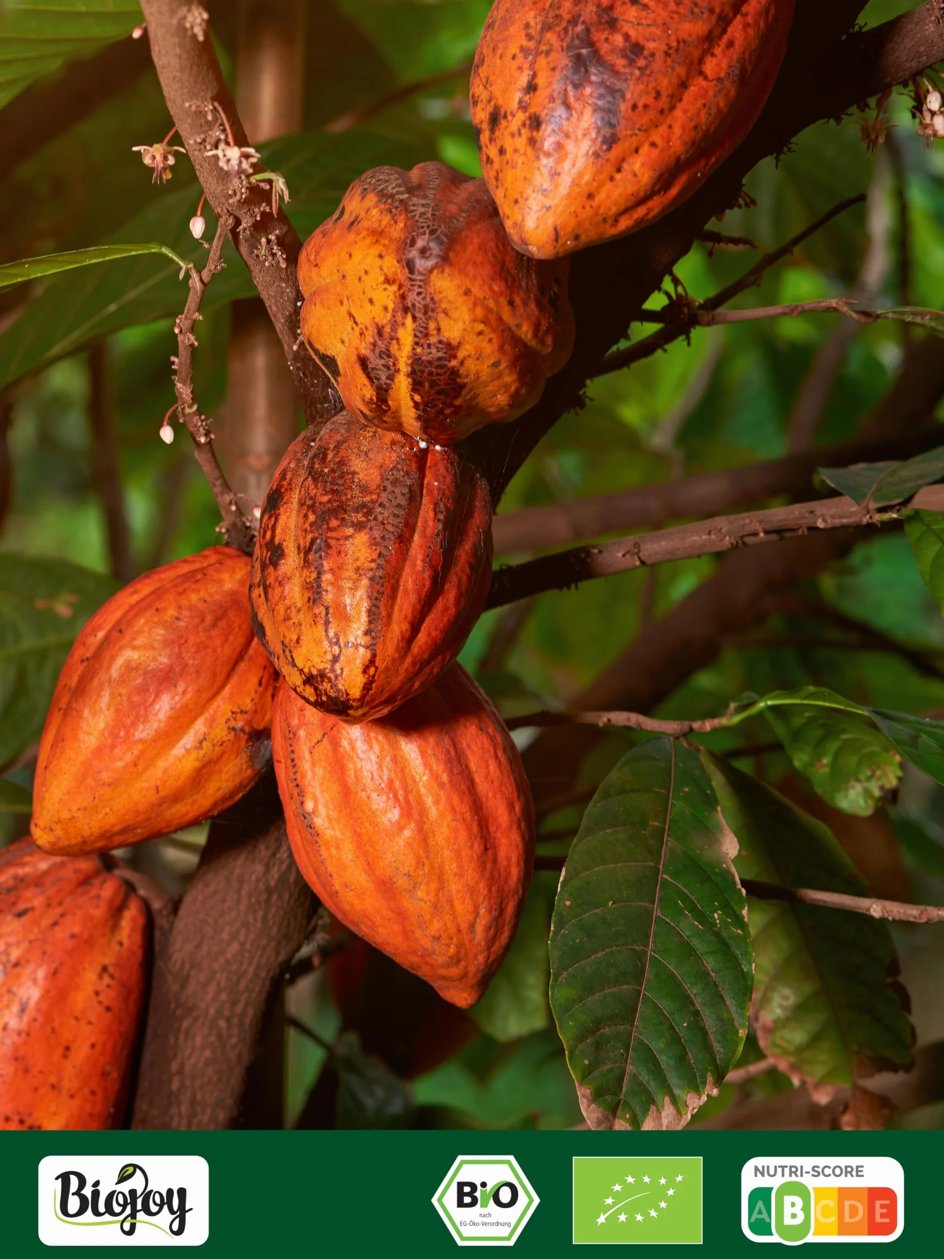 Biojoy Cacao en Polvo Ecológico 500 g, natural sin azúcares añadidos