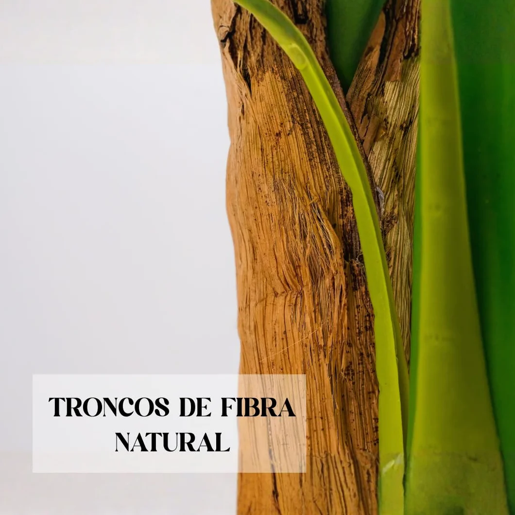 edihome Platanera 120 cm Artificial Grande con Tronco Real y Natural Decoración Interior