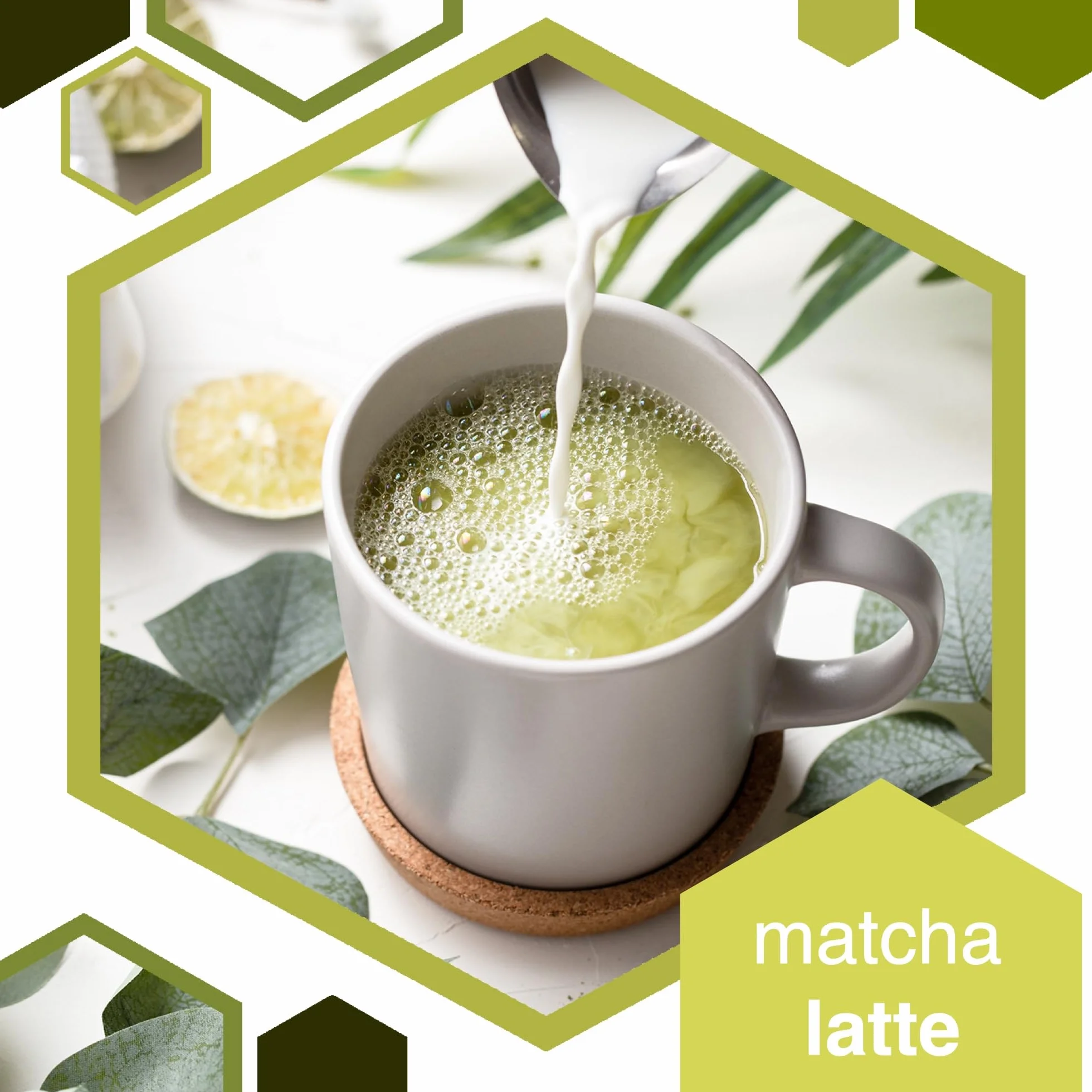 ERBOTECH Matcha BIO Polvo Té Verde Japonés Orgánico 100 g Multivitamínico Natural