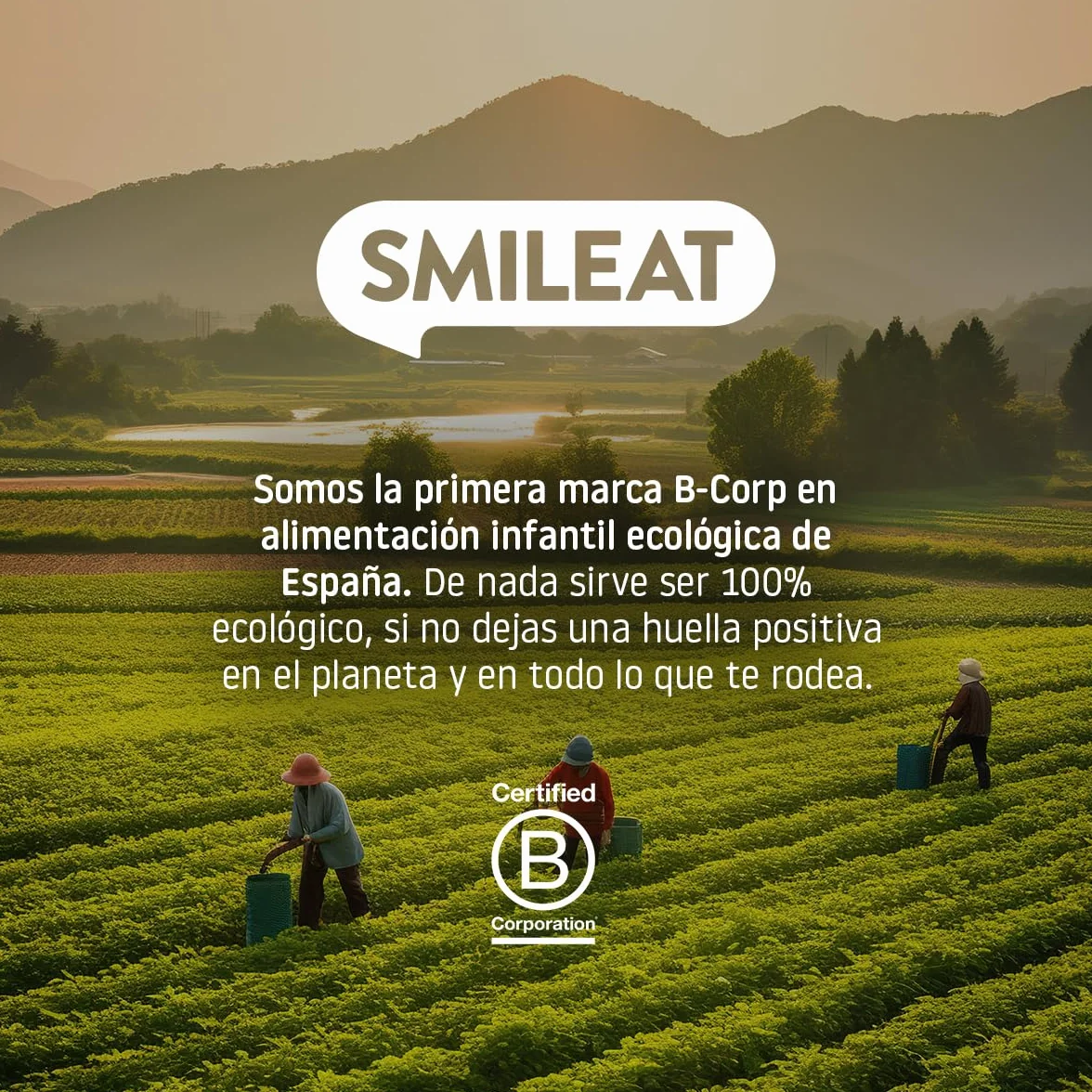Smileat Galletas de Espelta y Fruta para Peques 10+ meses Sin Azúcar Añadido Aceite de Oliva Virgen Extra 220g