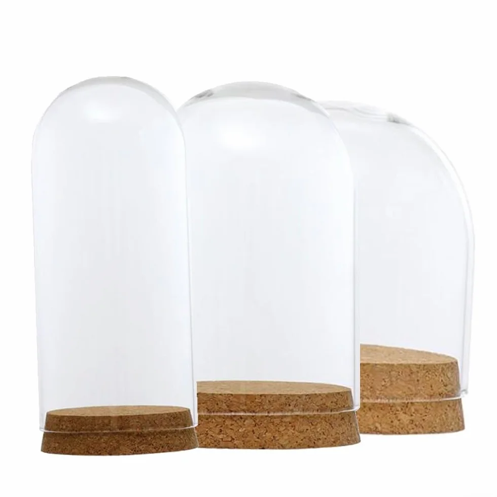 Gdfnmogo Cubierta de cúpula de cristal para plantas suculentas y flores, cristal transparente hecho a mano con base de corcho de madera natural, decoración de mesa para sala de estar, dormitorio