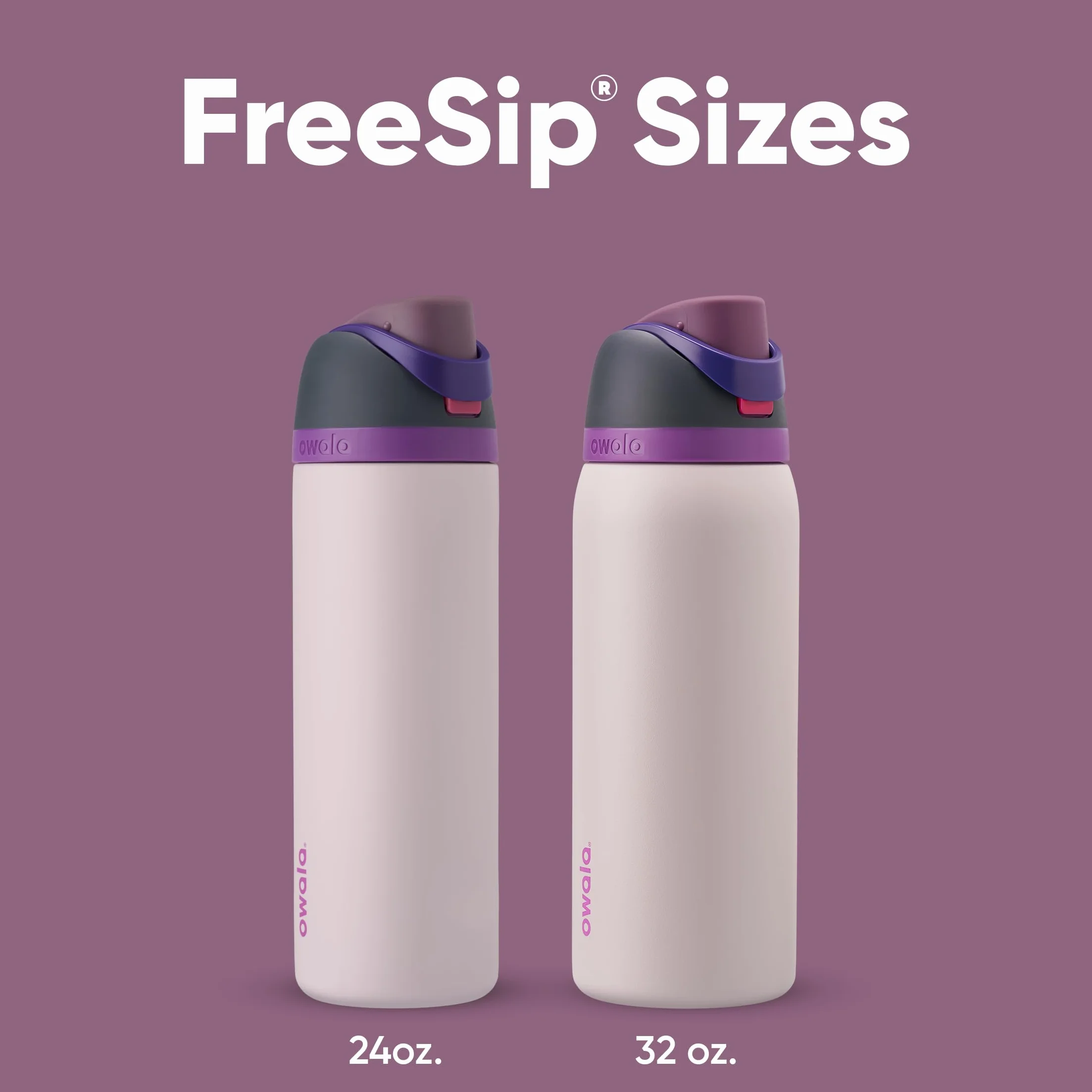 Owala FreeSip botella agua acero inoxidable 710 ml térmica a prueba de fugas sin BPA Dreamy Field