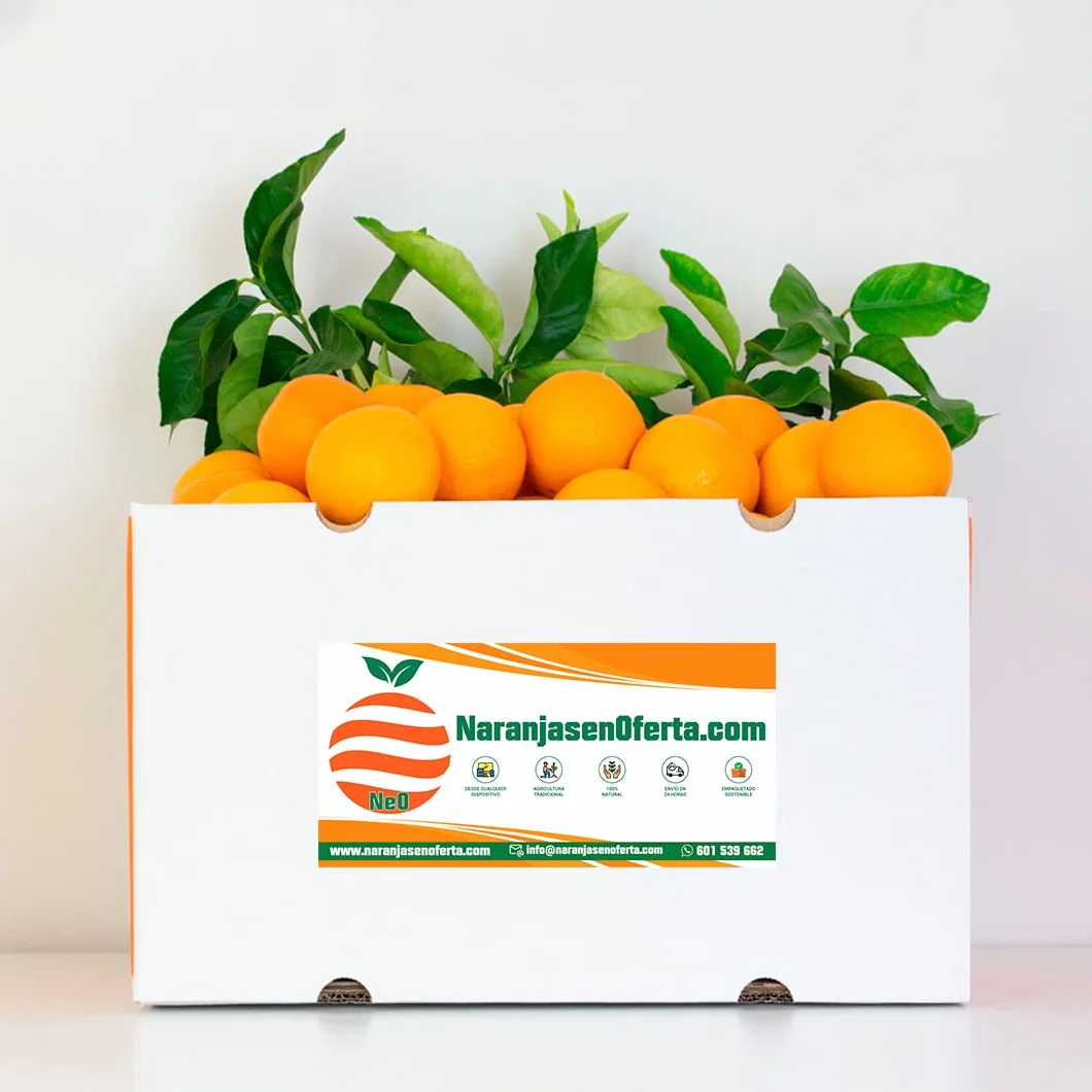 NARANJAS DE ZUMO DE VALENCIA CAJA 15 KG