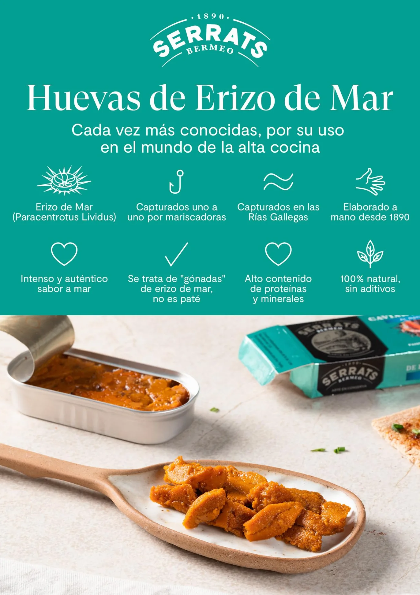 Conservas Serrats Erizo de Mar al Natural Lata 50g