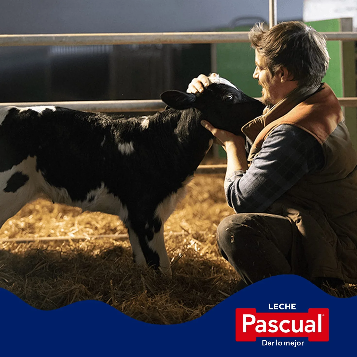 Leche Pascual Leche Entera Bienestar Animal Pack 6 x 1L