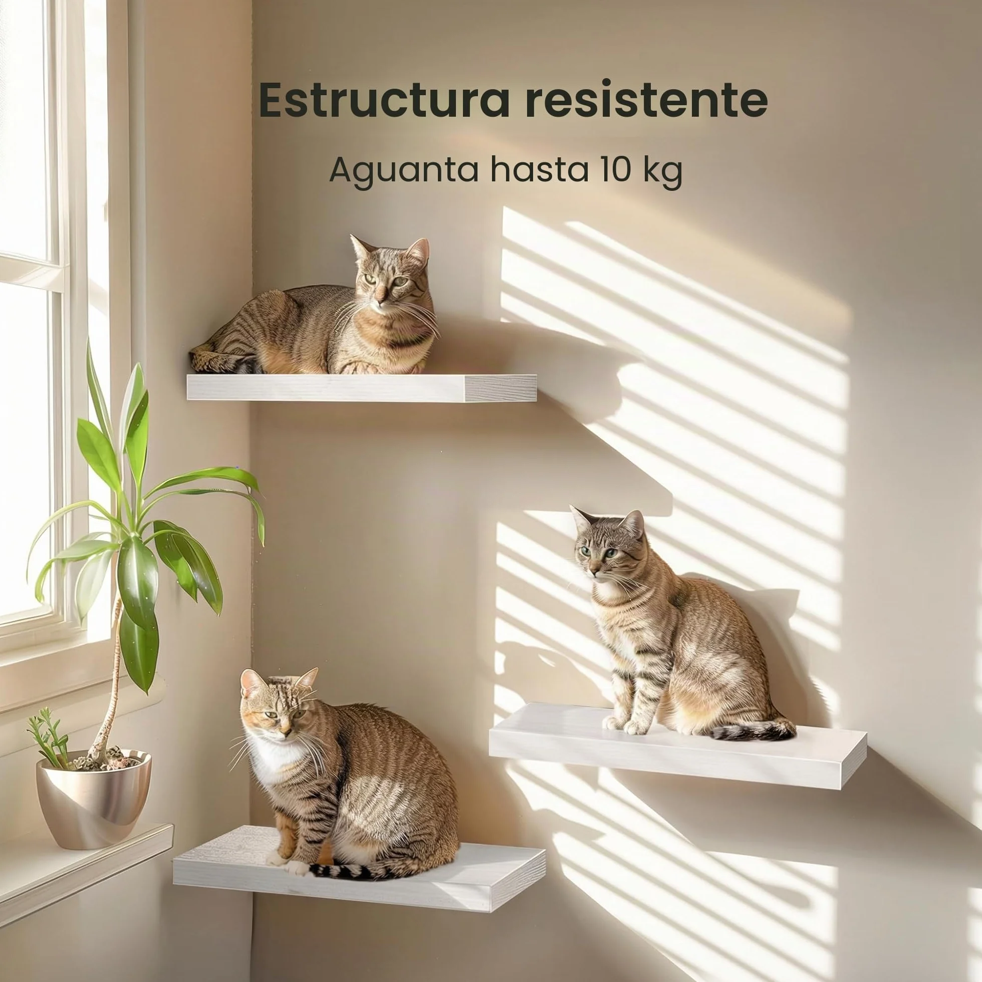 AMADA HOMEFURNISHING Estantes Flotantes Pared Juego 3 Unidades Blanca Soportes Invisibles AMFS08