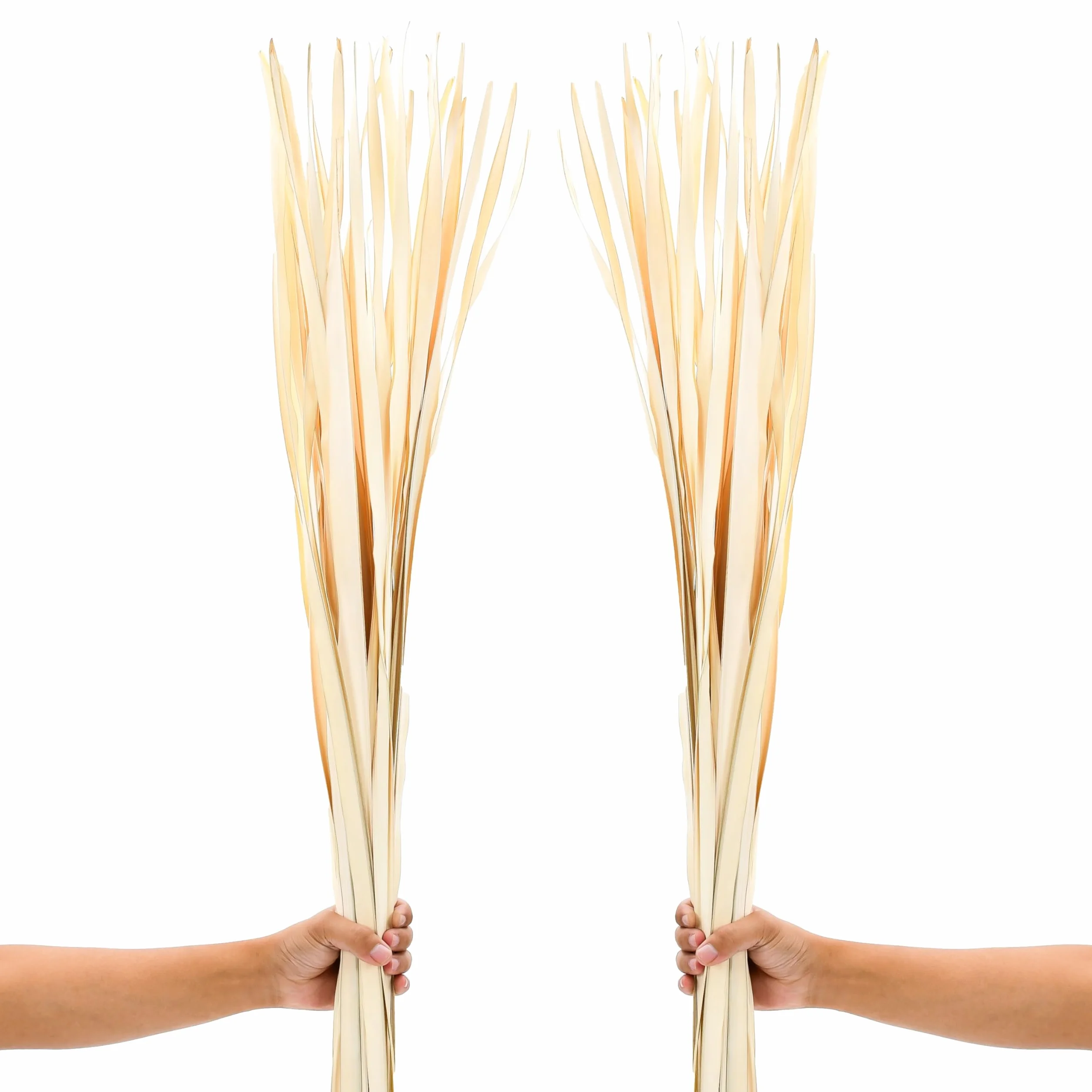 LEEWADEE Decoración Jarrón Suelo - Hojas de Palma Secas 115 cm Natural, Set 2 Ramos