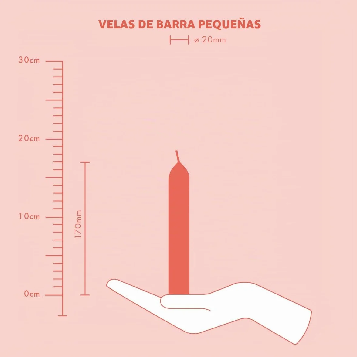 Bolsius Velas cónicas de cena blanco paquete 8 unidades 17 x 2 cm larga duración 5 horas sin perfume cera vegana natural sin goteo