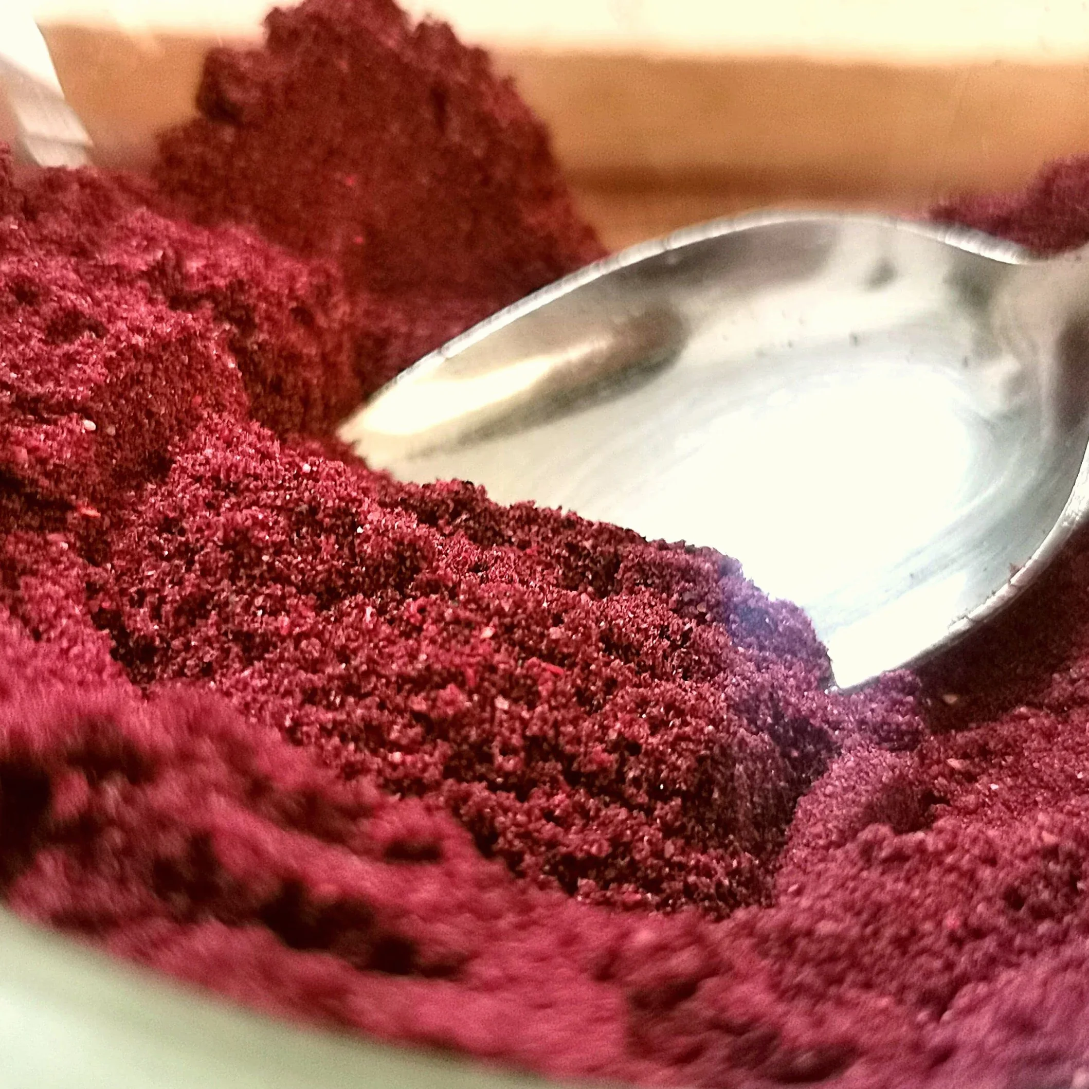 Arandanos Deshidratados Sin Azucar XL 500g Wild Blueberry Powder Freeze Dried Fruit ZingyZoo