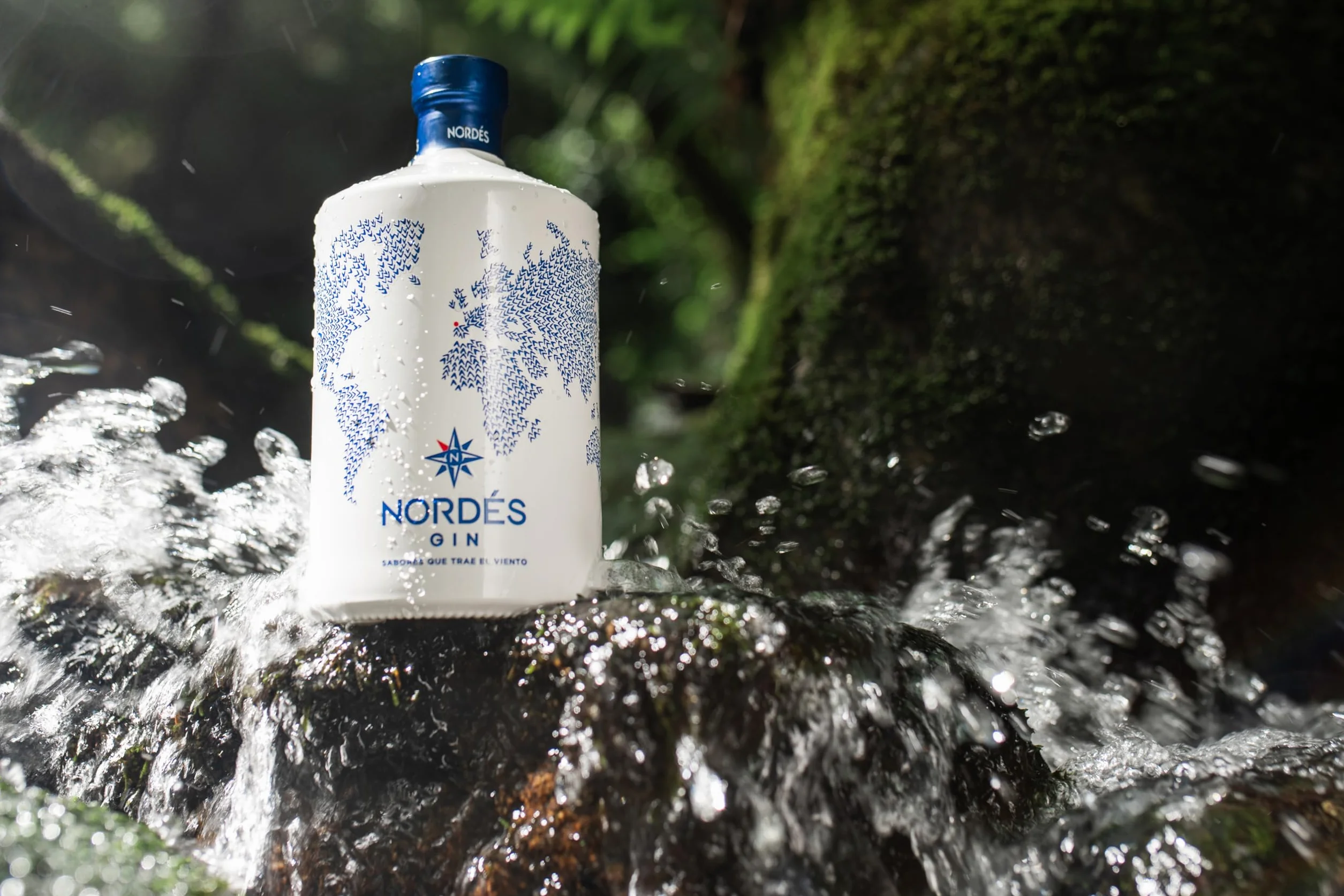 Nordés Ginebra Premium de Origen Gallego 1L 11 botánicos Regalo