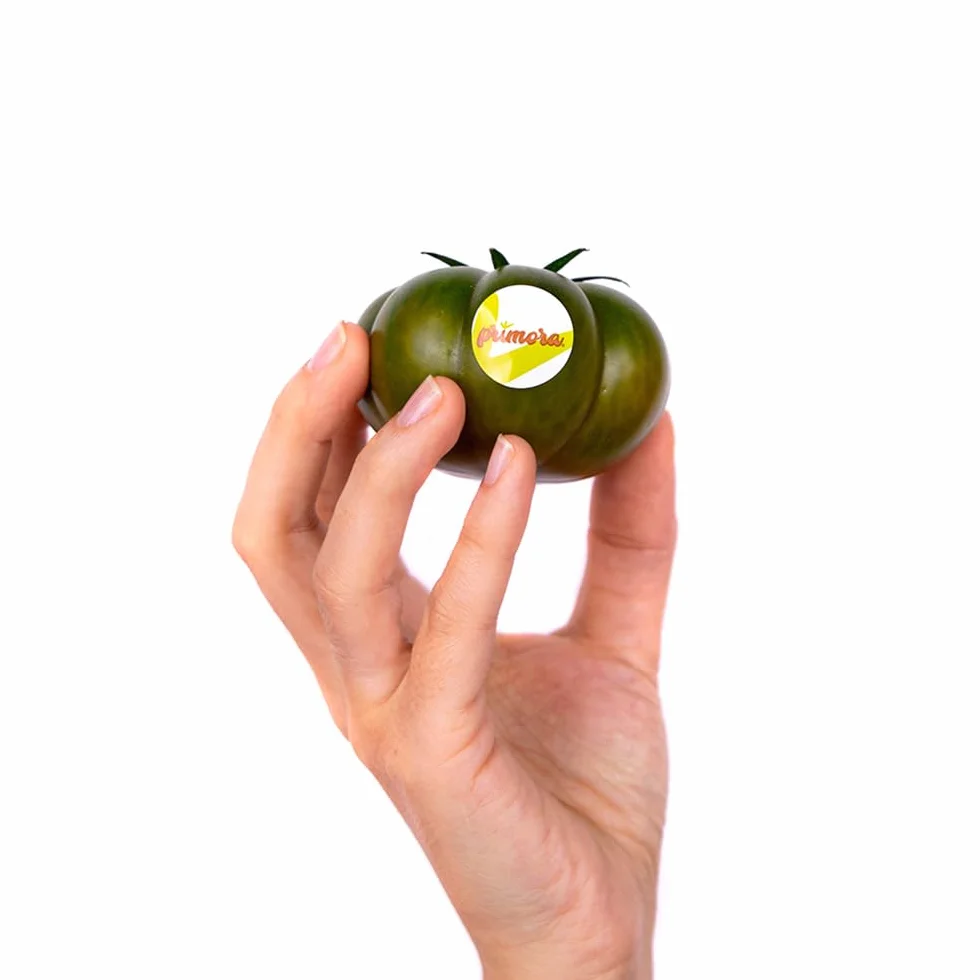 Tomate Primora 3kg La Parcela Origen España Andalucía Costa Tropical Fresco Cooperativa Granada La Palma