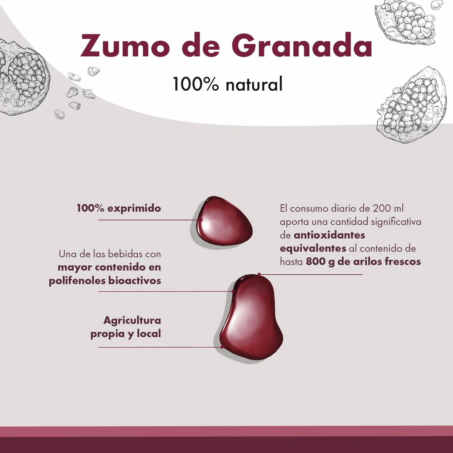 Granatum Plus Pack de 6 Botellas de Zumo de Granada Natural 750ml 100% Exprimido Sin Azúcares Añadidos