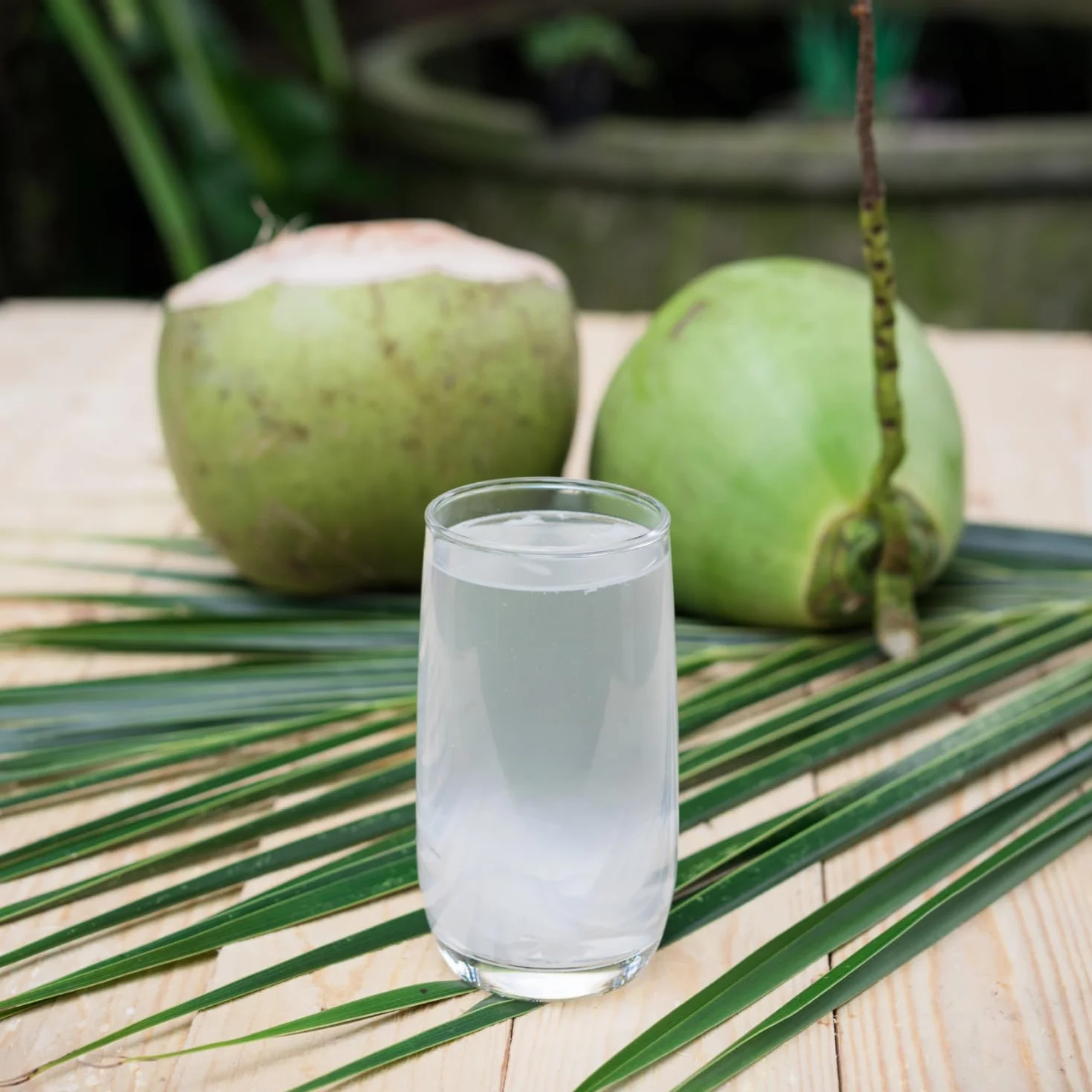 BAMBOO TREE Agua de Coco 500 ML