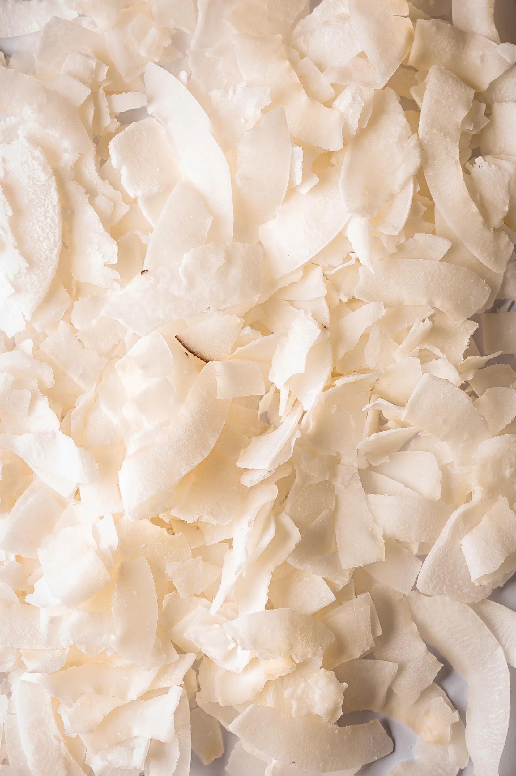 Biojoy Chips de Coco deshidratado Ecológico 1 kg sin azúcar añadido