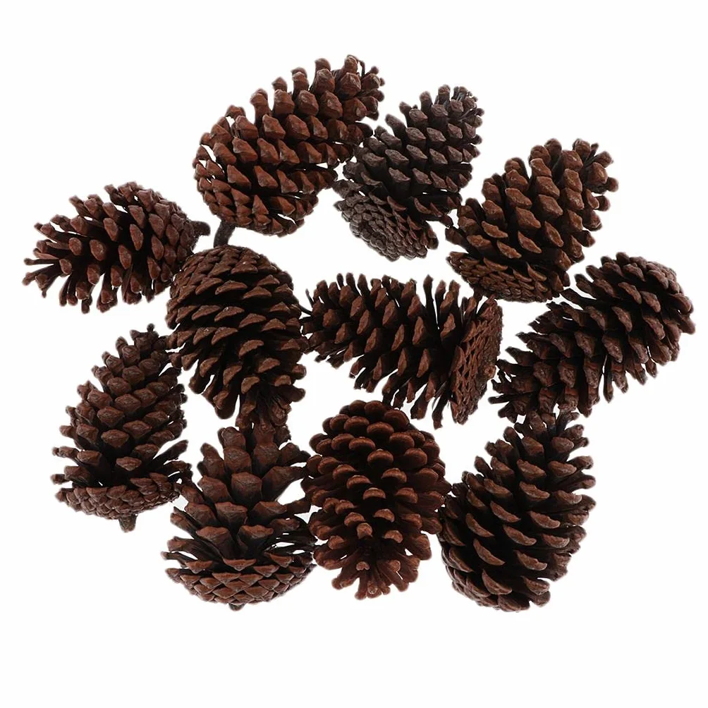 Conos de Pino Seco Natural 8-10 cm Decoración Árbol de Navidad 10 Piezas