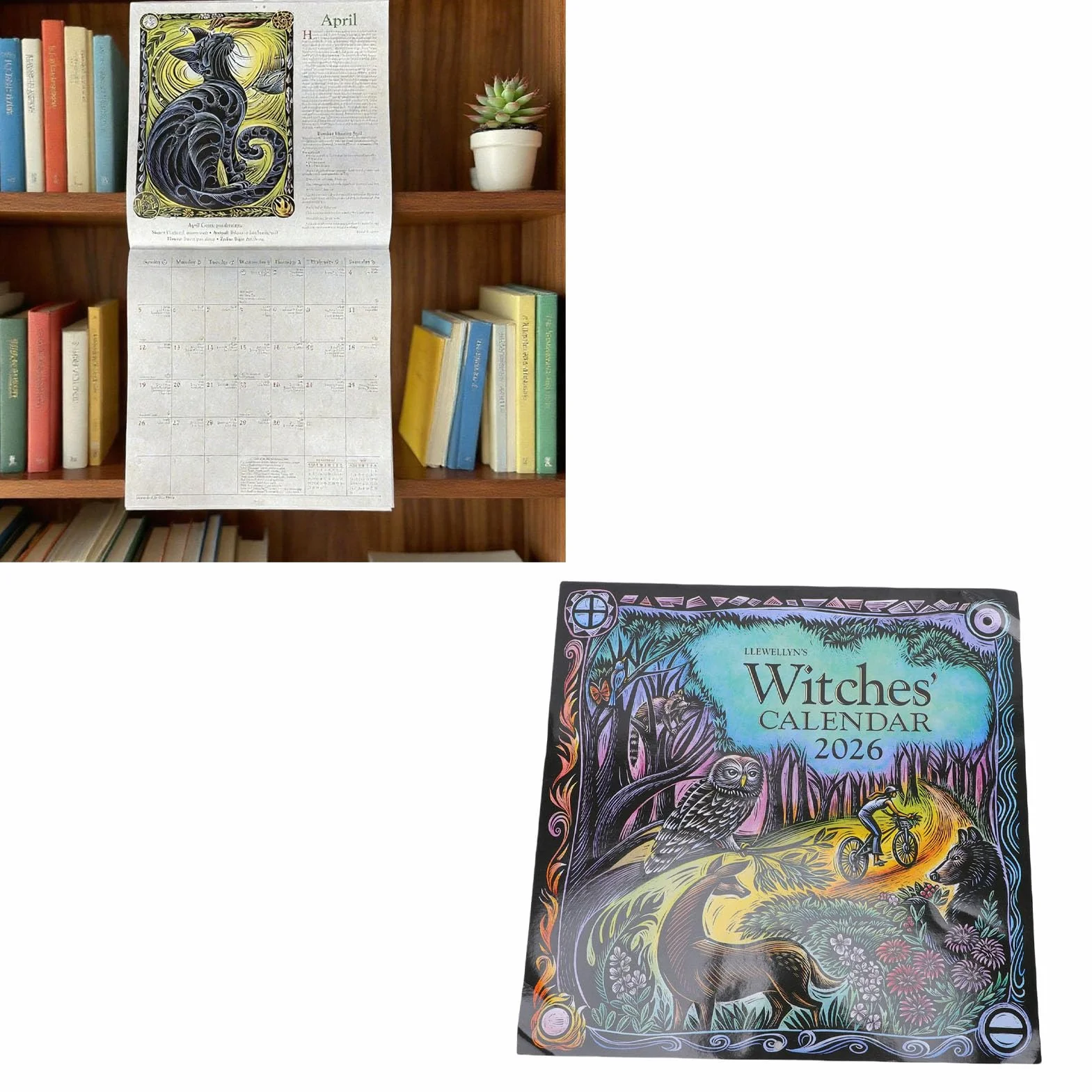 Calendario de Brujas 2026, Planificador Astrológico con Fases Lunares y Rituales de Hechizos