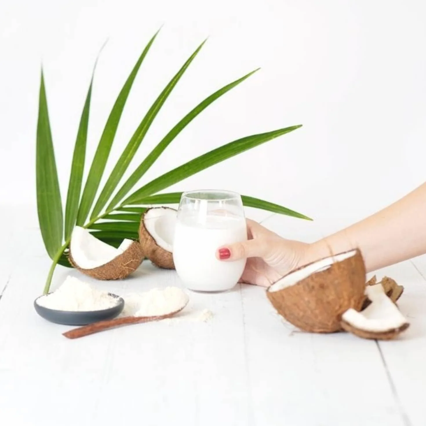 Harina de Coco 2 kg nut&me 100% Coco Sin Gluten Sin Aditivos Keto Dieta Vegana Reposteria Pack 2 x 1 kg