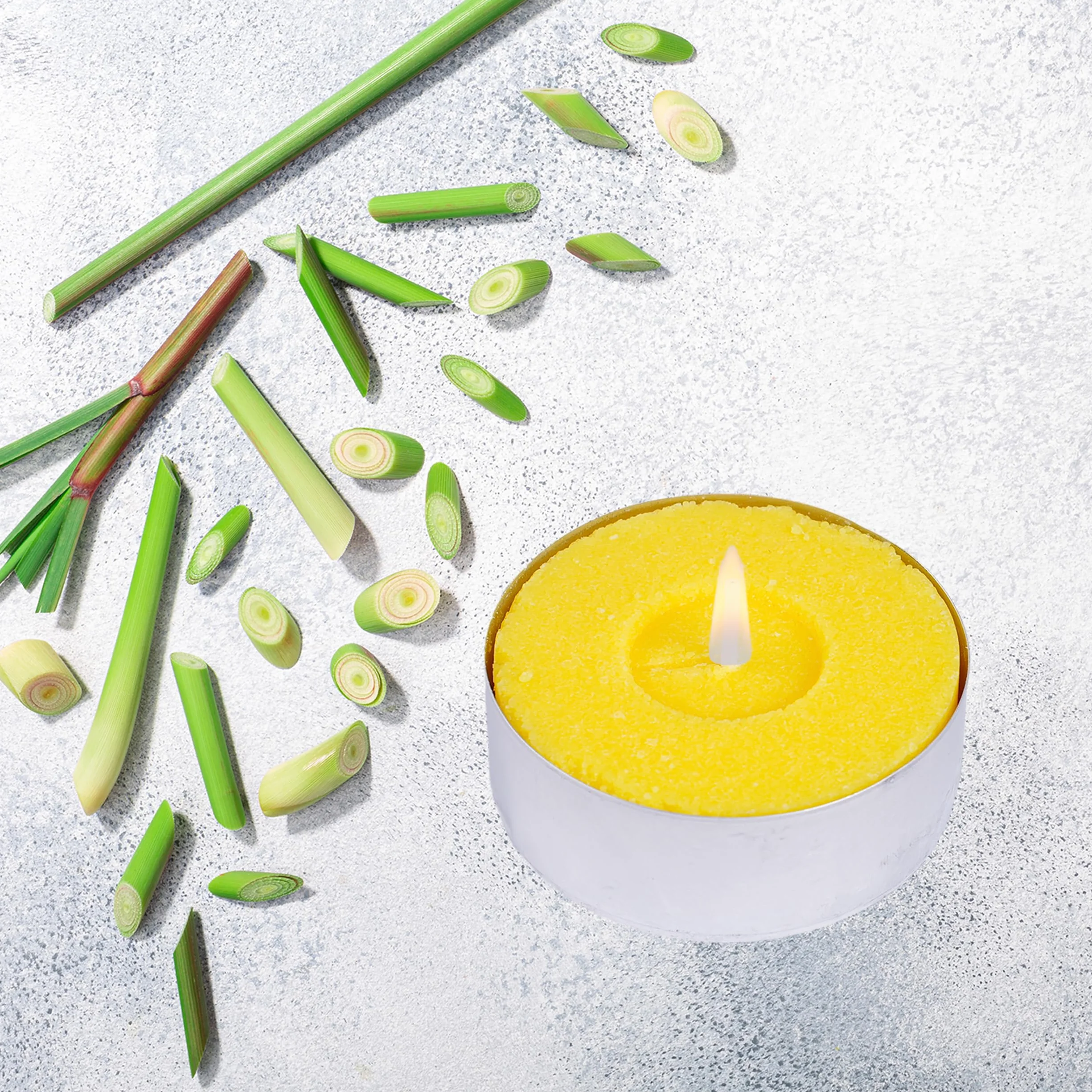 H HANSEL HOME Velas de Té Citronela Antimosquitos Pack 30 Tealights 4 Horas