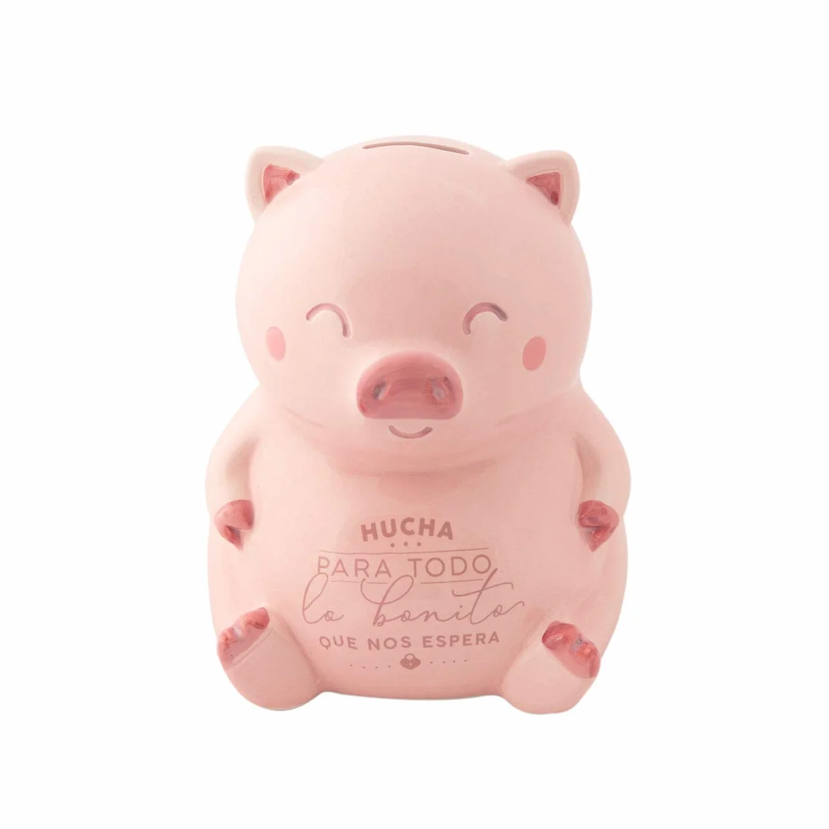 Mr. Wonderful Hucha Cerdito Rosa WOA10323ES