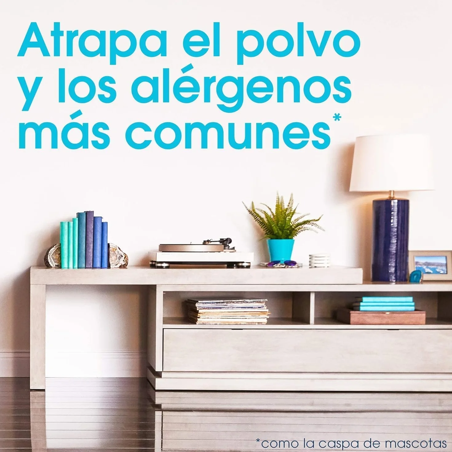 Pronto Plumero 5 recambios