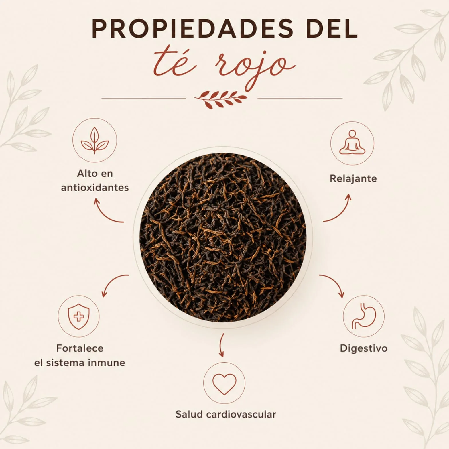 FUSIONATE Te Rojo Pu-Erh, 45 Pirámides, Sabor Terroso, Cultivado en Yunnan China