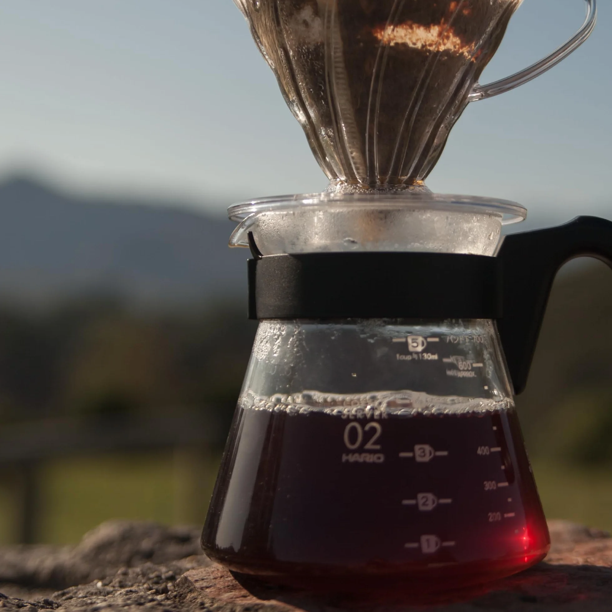 HARIO V60 Coffee Server Carafe 700ml VCS-02B (japan import)