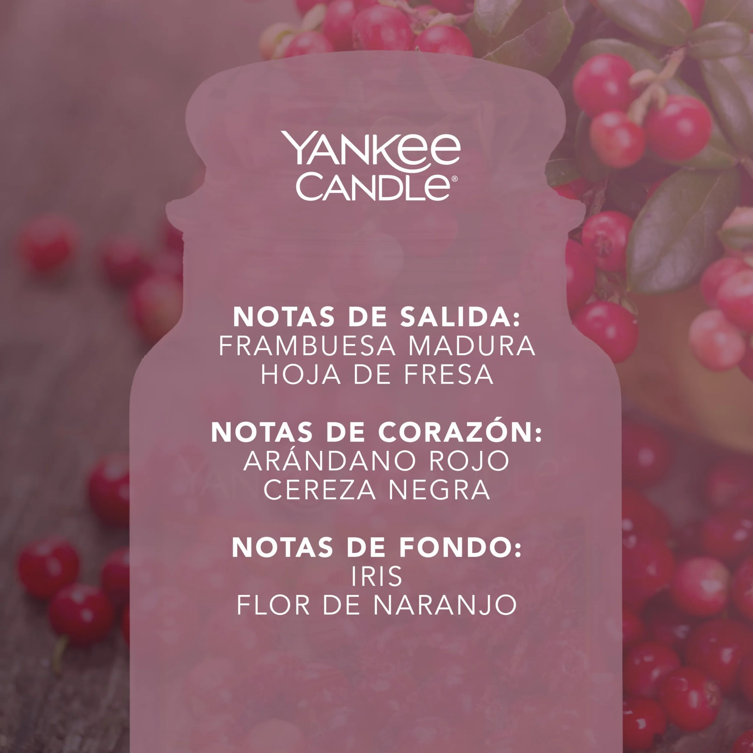 Yankee Candle Vela aromática en tarro grande Cranberry Chutney 150 horas