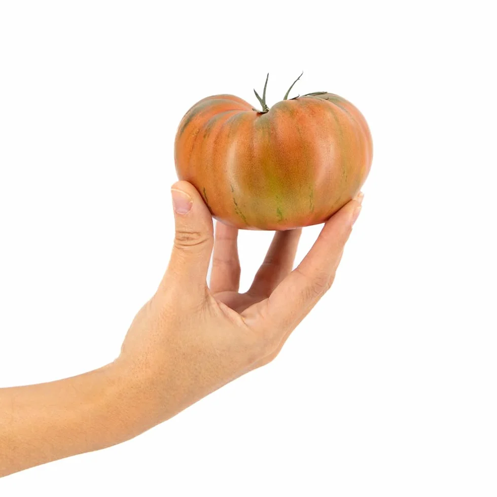 Tomate Marmande Rosa 3Kg Cooperativa Granada La Palma