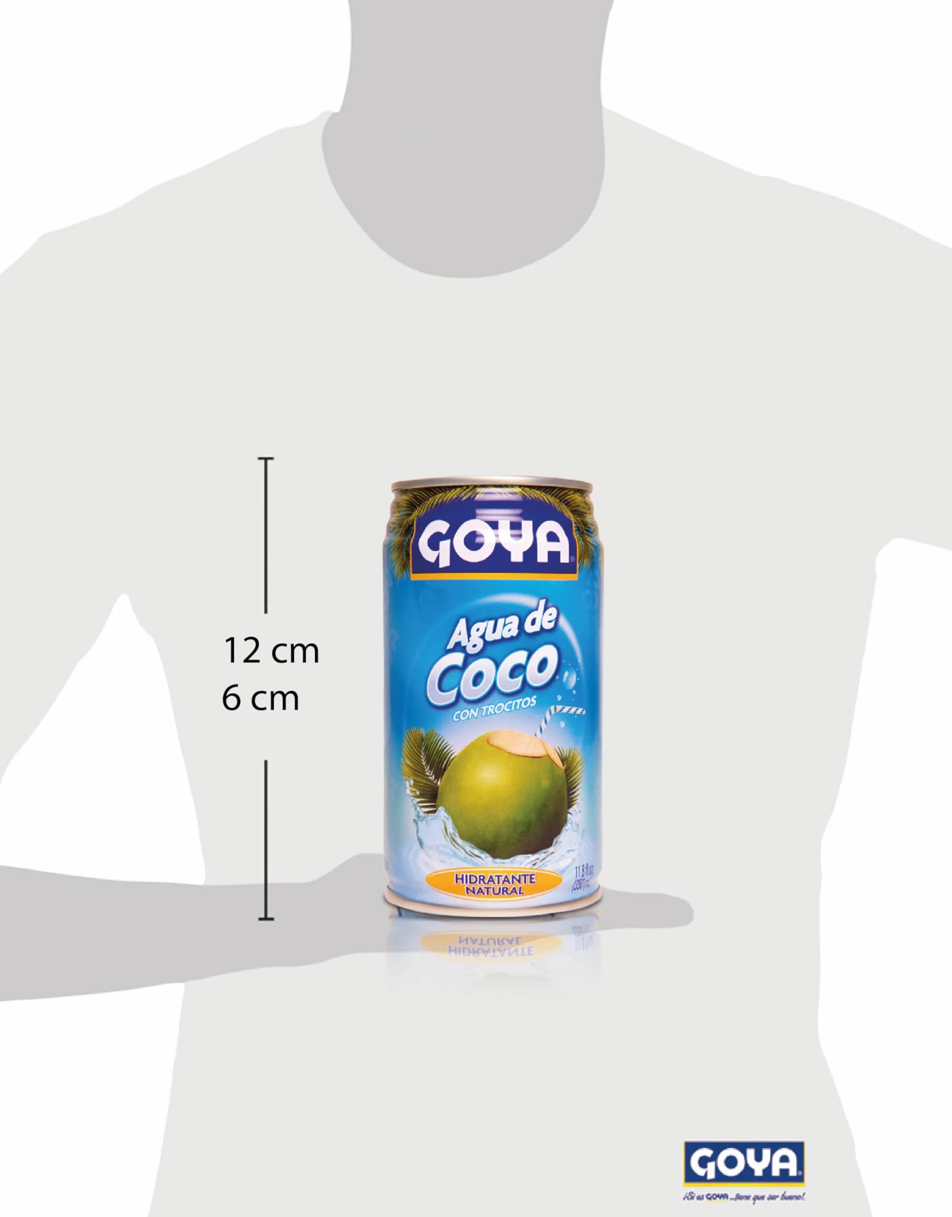 Goya Agua de coco 350ml Pack de 12