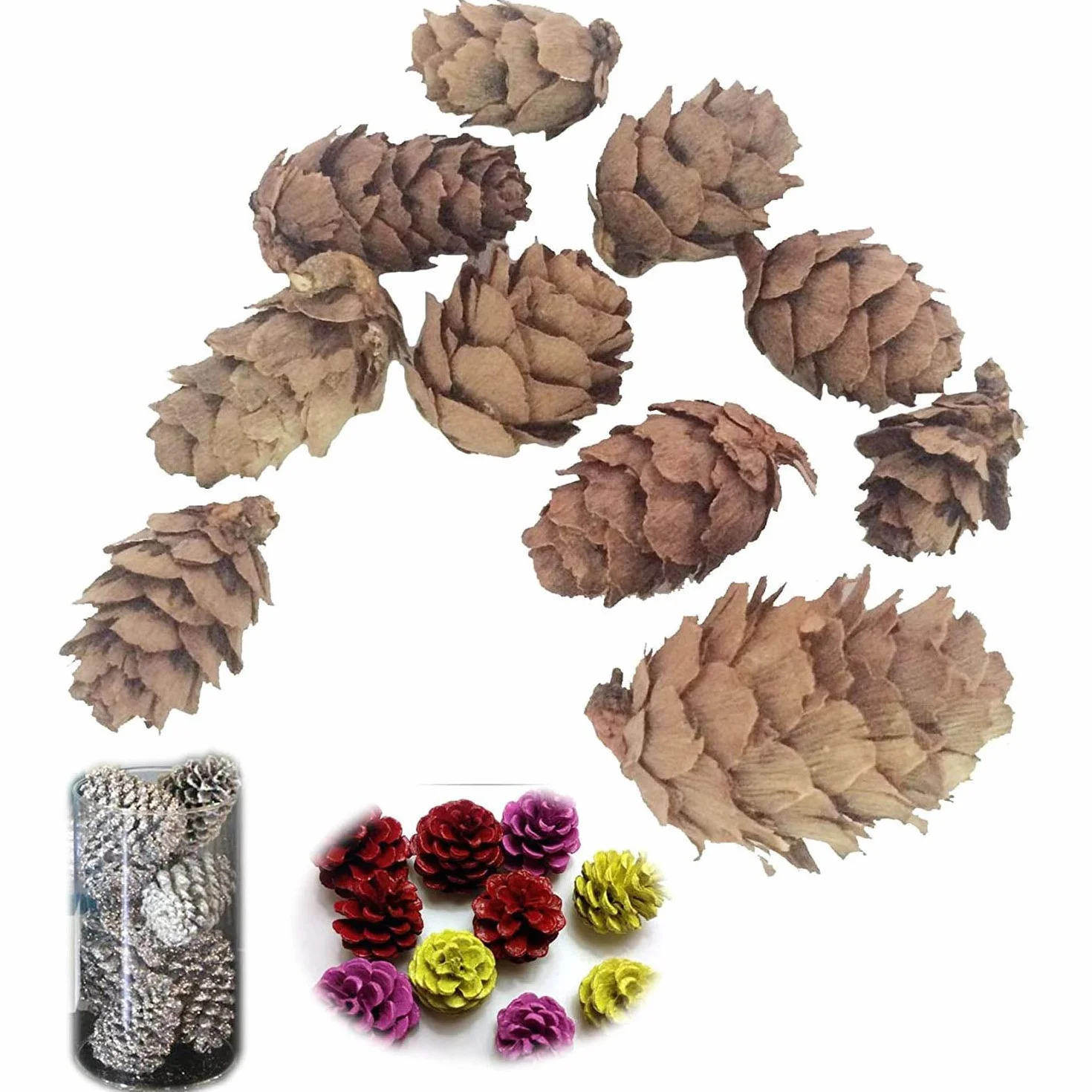 POFET 30 Piezas Piñas navideño,Mini Conos de Pino Naturales de Acción de Gracias para el hogar Manualidades de Bricolaje Árbol de Navidad Decoración de otoño Invierno (1-2 cm)