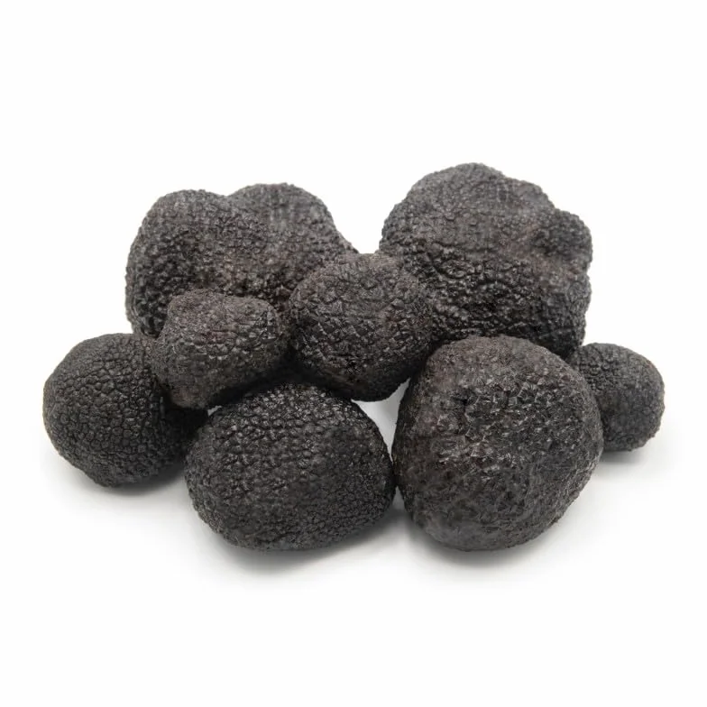 Trufa Negra Extra Tuber Melanosporum Fresca 30g