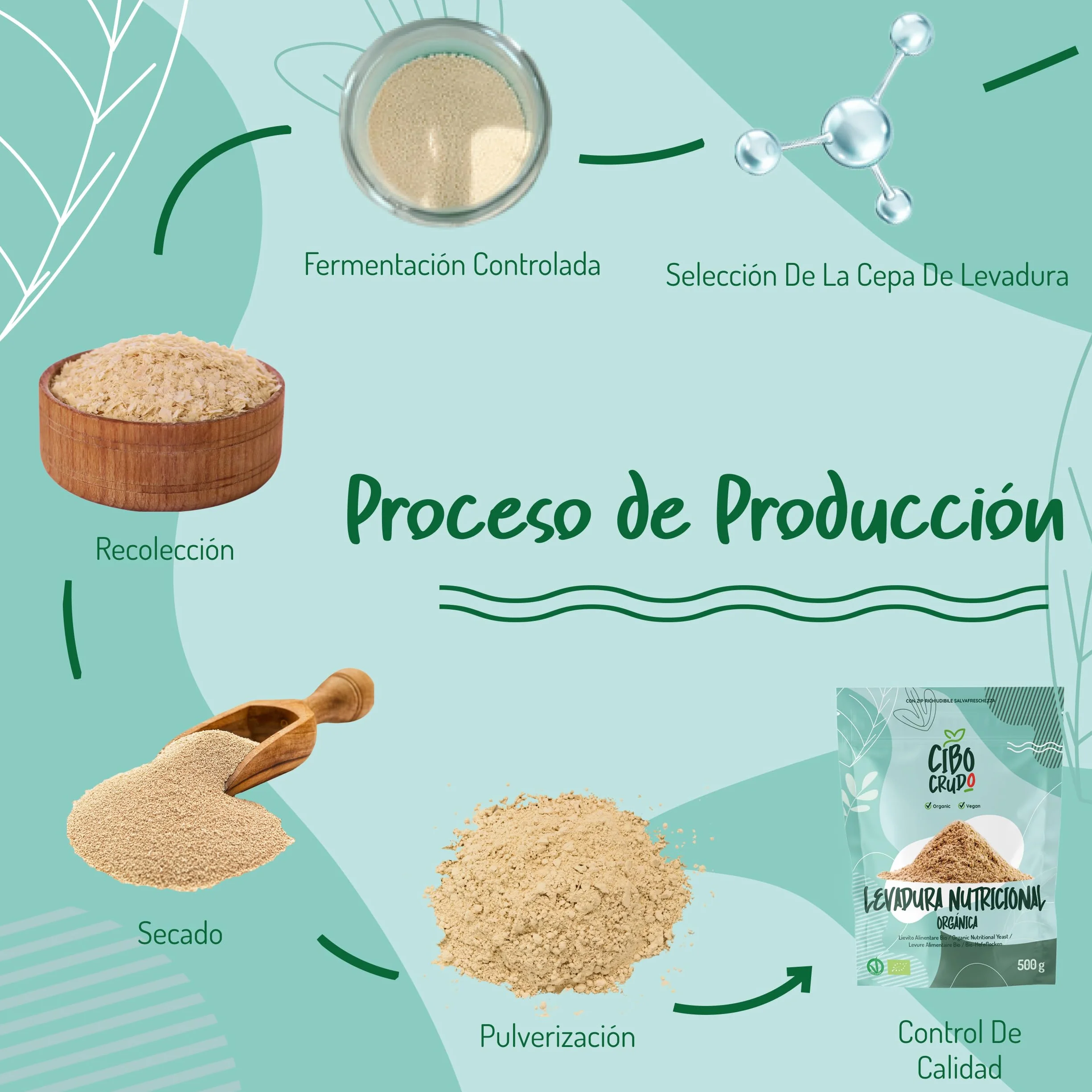 Levadura Nutricional Ecológica en Copos 100g Sin Gluten Lactosa Orgánica