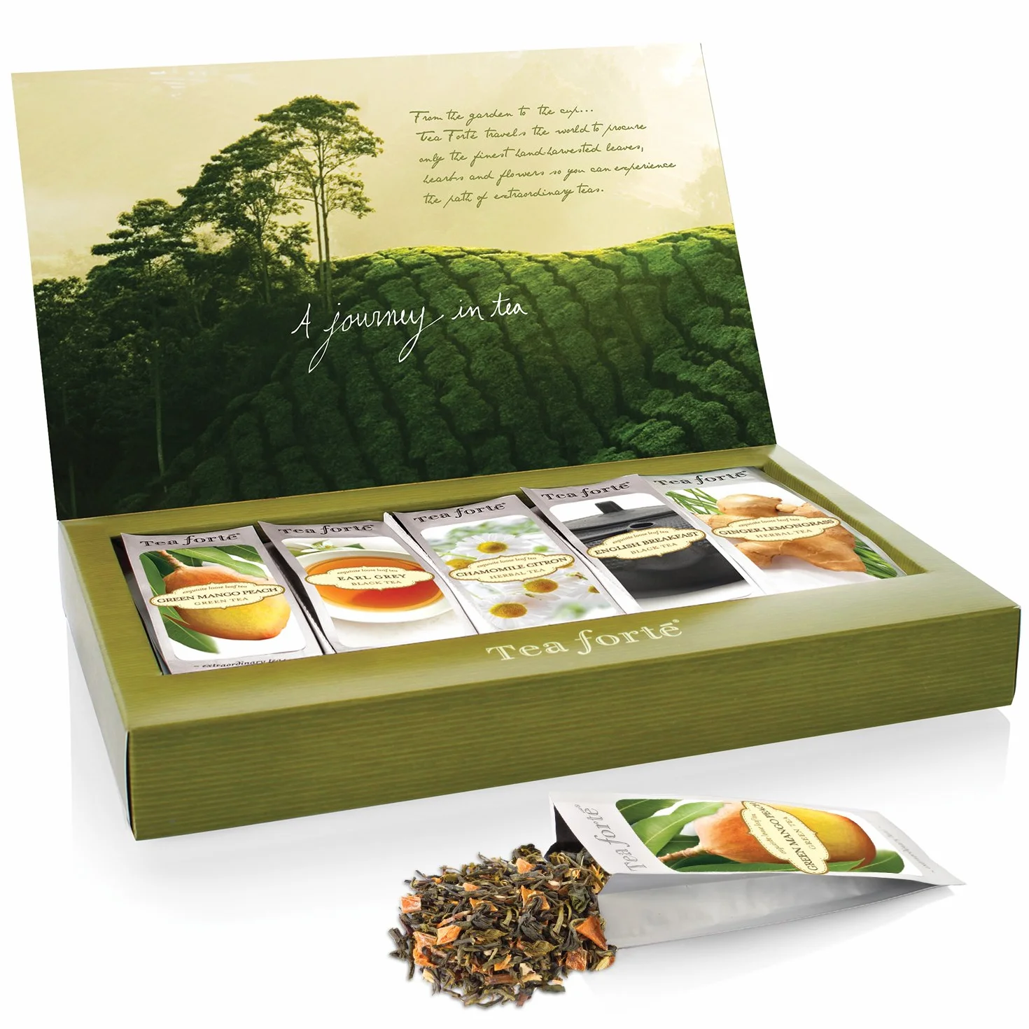 Tea Forté Single STEEPS Surtido Clásico Té de Hojas Sueltas, Caja Variada 15 Bolsitas