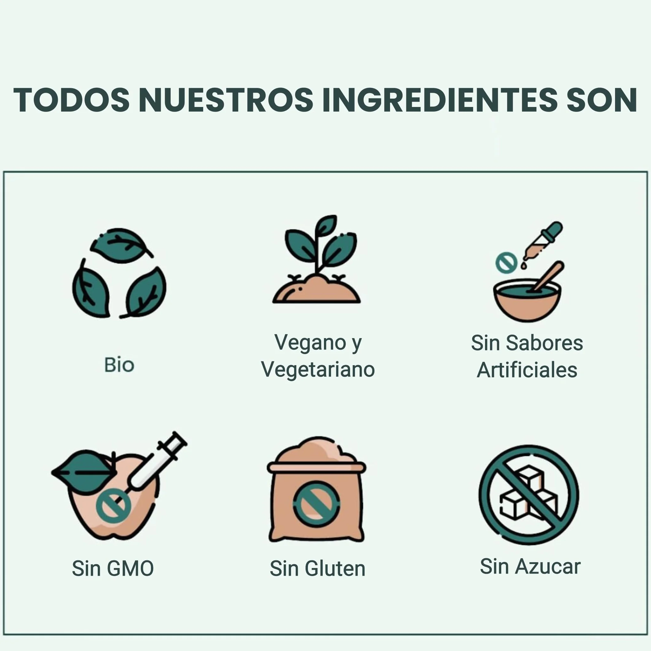 Proteina de Guisante BIO en Polvo 83% Fermentado Suave Sedoso 1kg