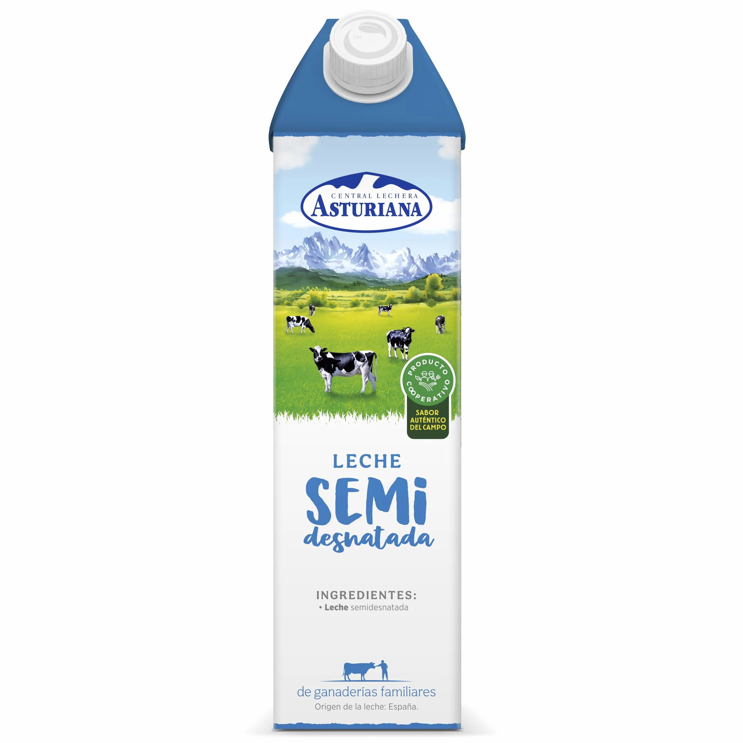 Central Lechera Asturiana Leche Semidesnatada Pack 6 x 1L