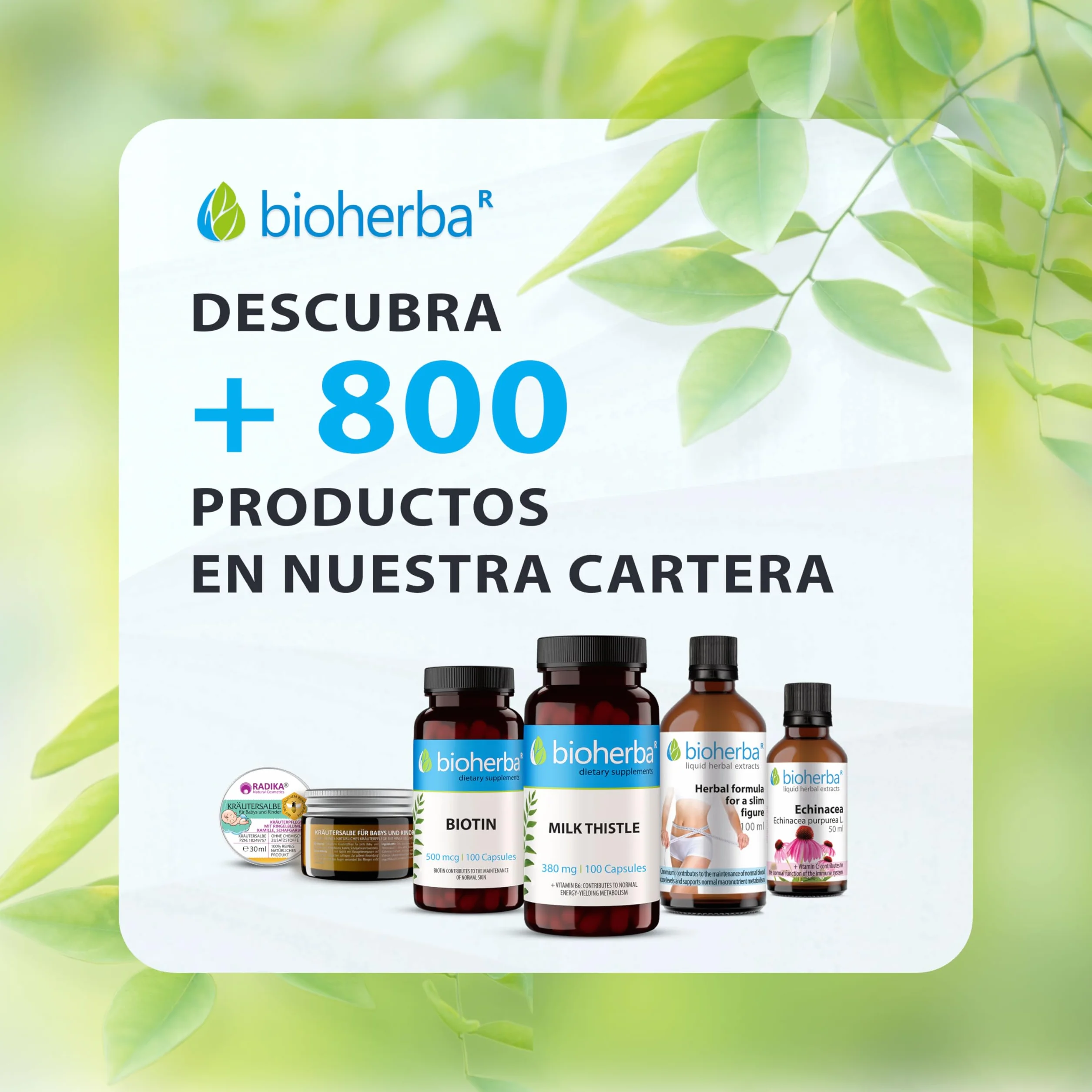 BIOHERBA Aceite de semillas de Nigella Sativa 250 ml cold pressed prensado en frío puro vidrio