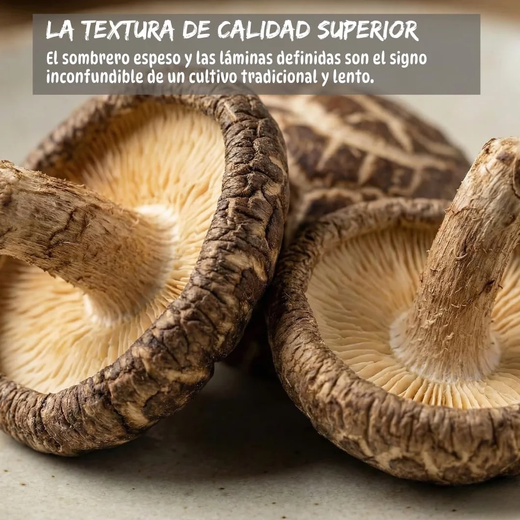 Umami Setas Shiitake BIO Japonesas 50g Secadas Naturalmente Origen Kyushu Japón Calidad Premium para Ramen Sopas Risottos 100% Natural
