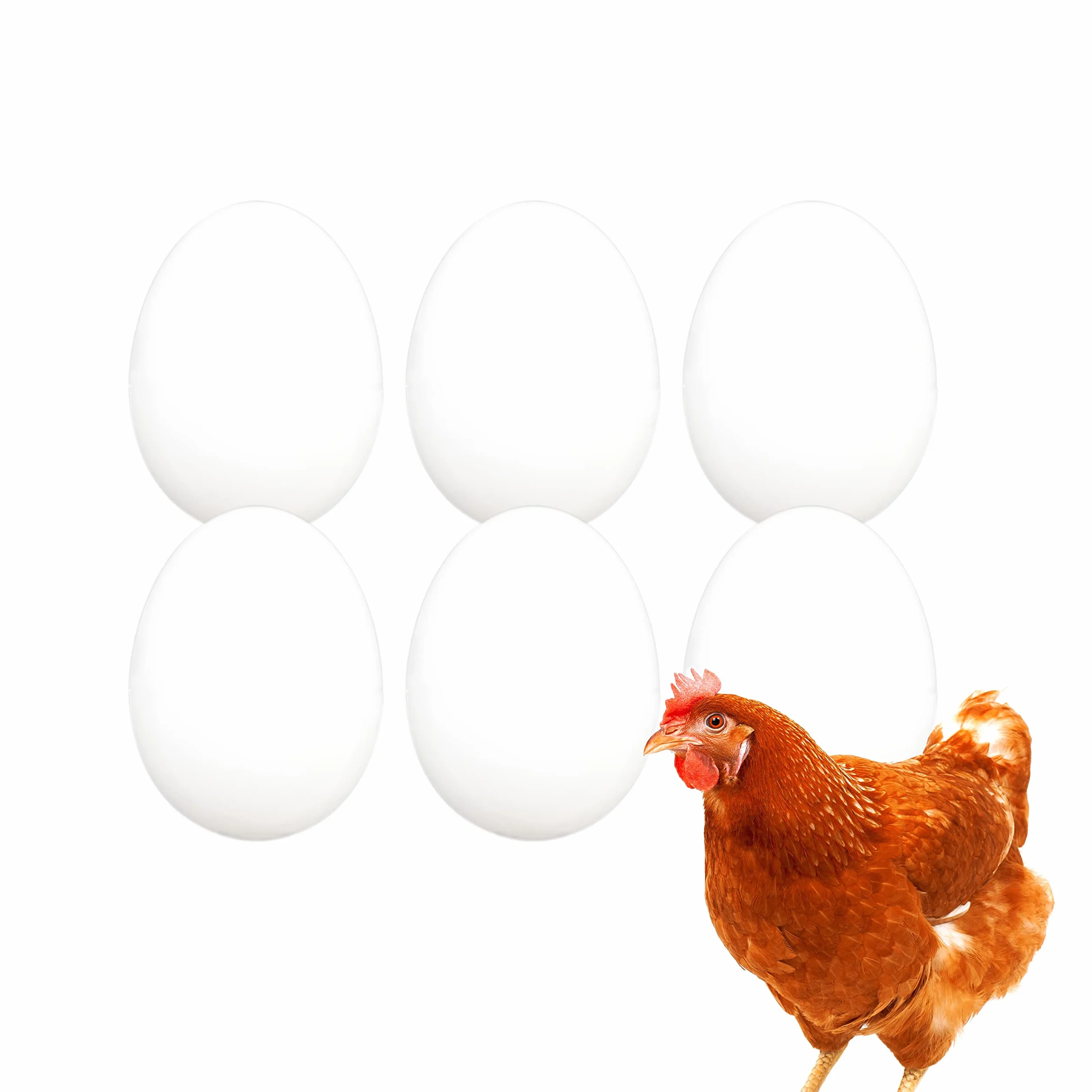 Huevo Falso Macizo de Gallina 6 Unidades FINCA CASAREJO