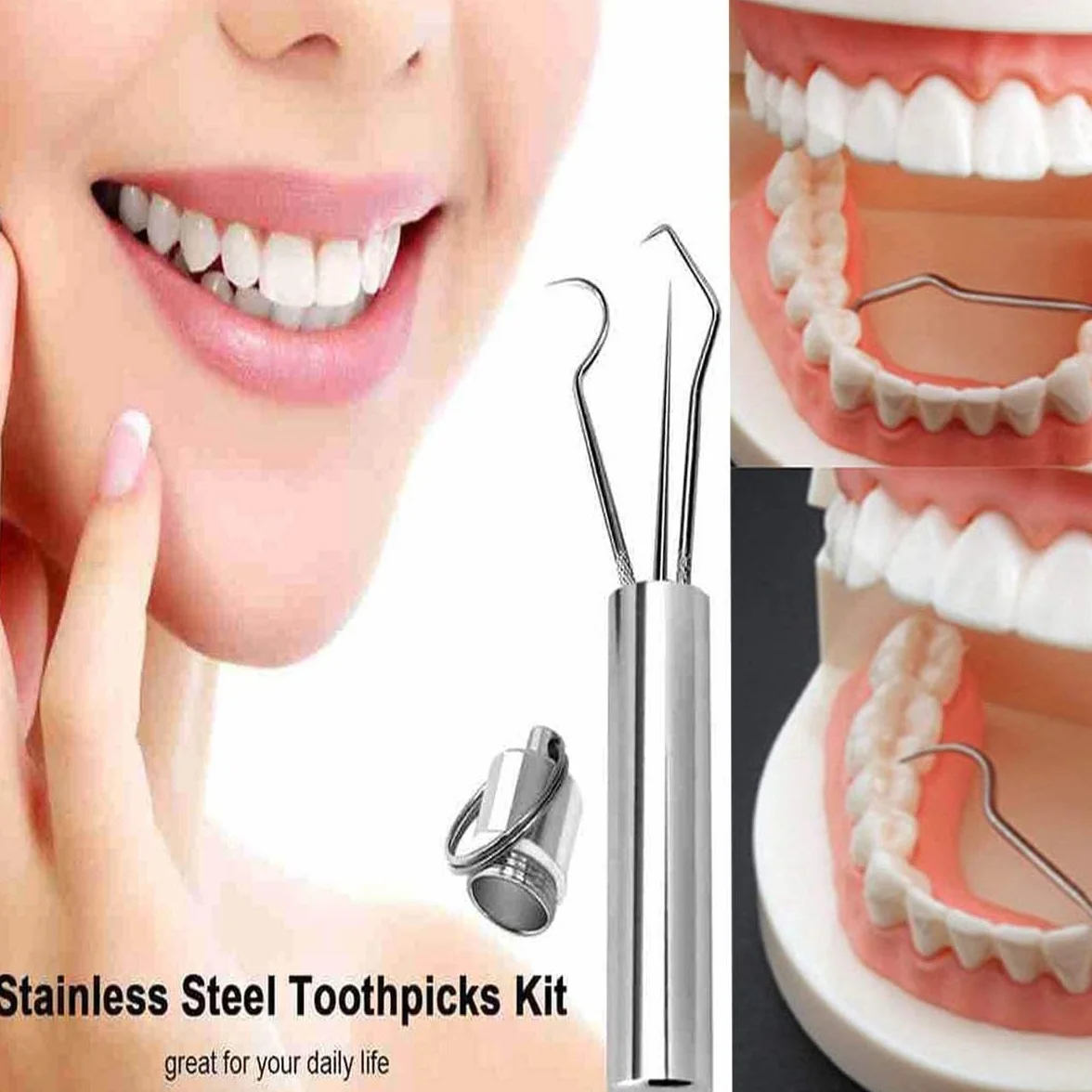 Kit de Palillos de Dientes de Acero Inoxidable Reutilizable con Soporte y Llavero Portátil
