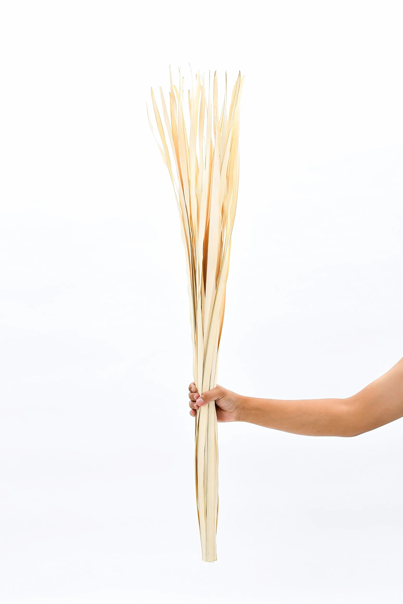 LEEWADEE Decoración Jarrón Suelo - Hojas de Palma Secas 115 cm Natural, Set 2 Ramos