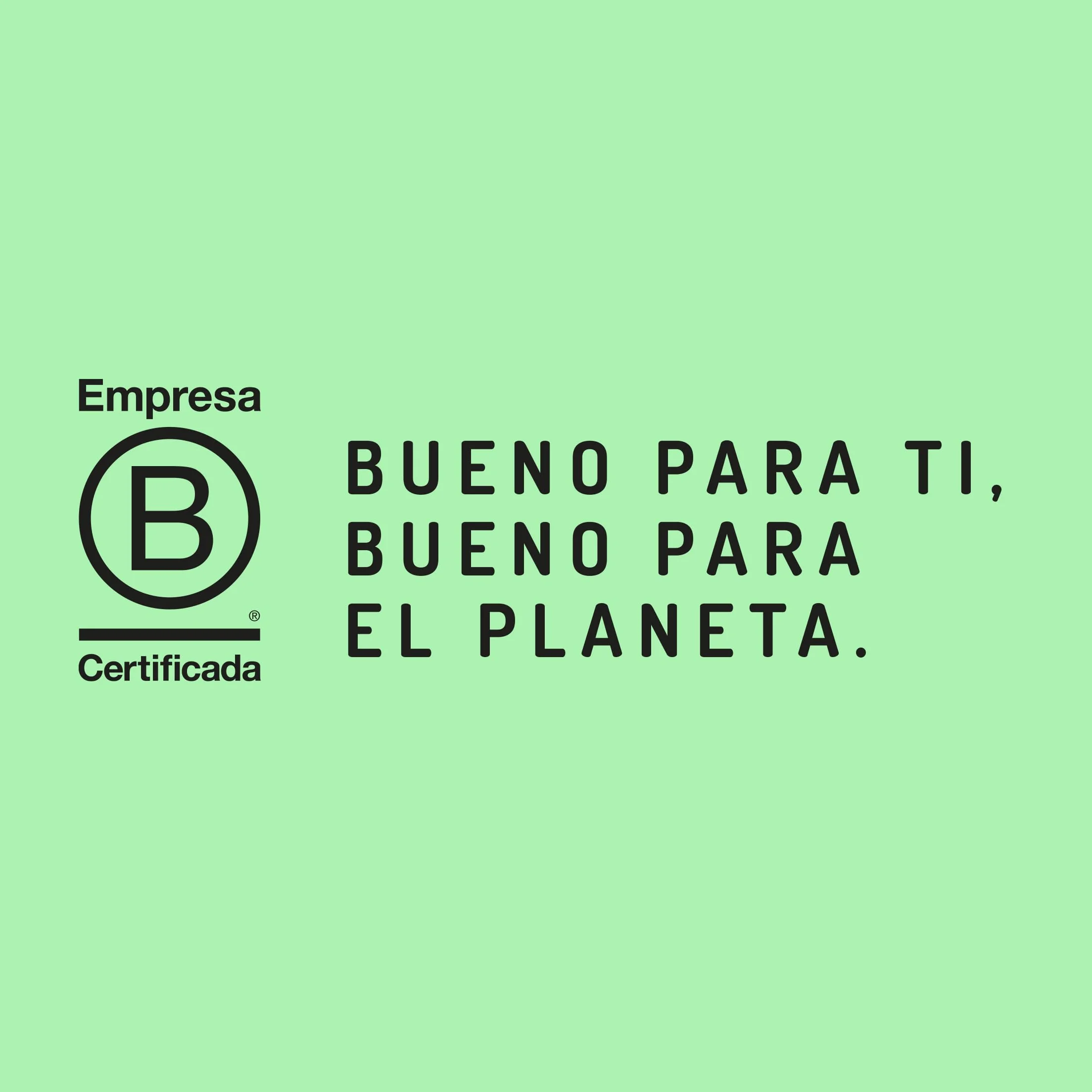 Levadura de Cerveza Desamargada El Granero Integral 300 g Vitaminas Minerales Aminoácidos Probiótica Vegana