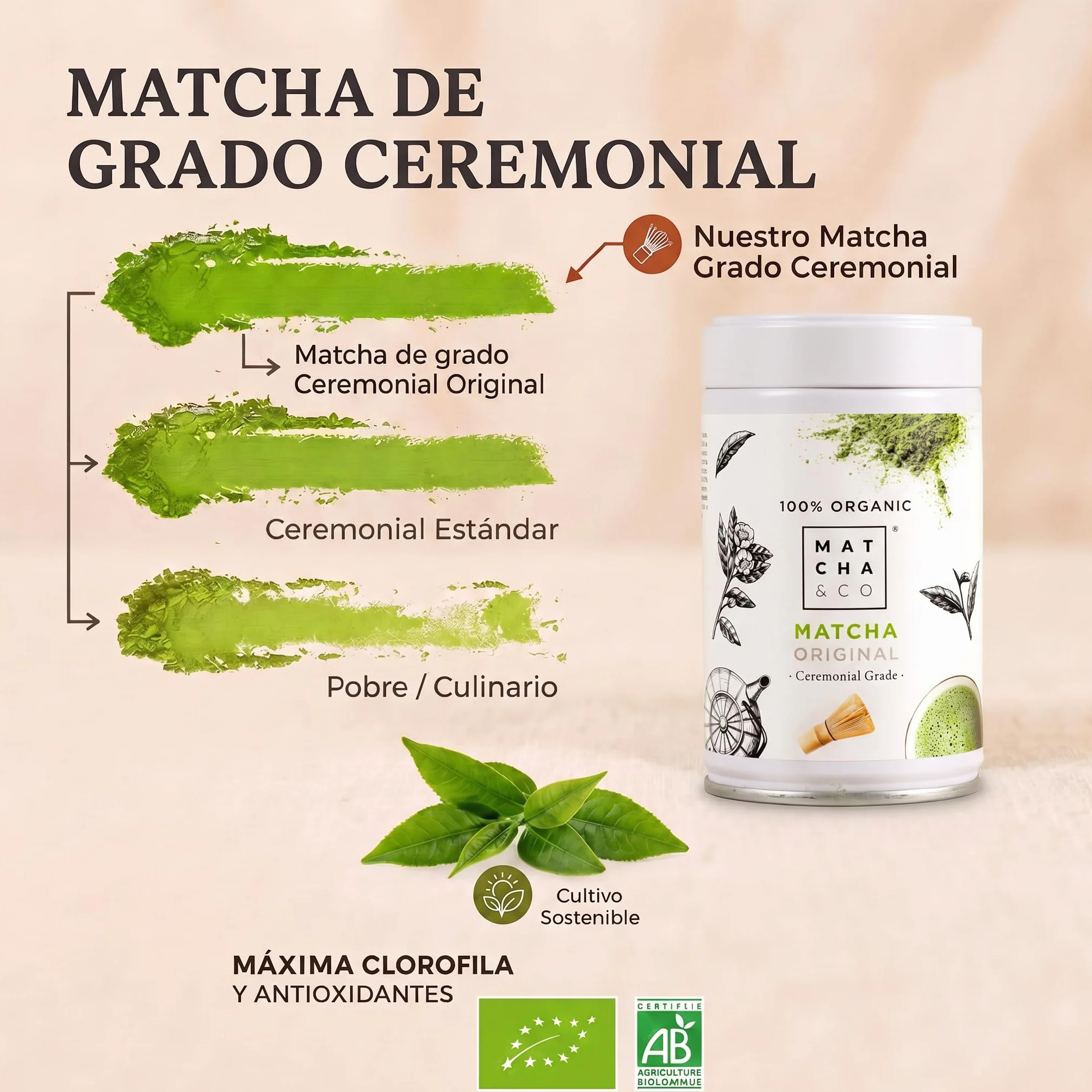 Matcha & CO Té Matcha Original 100% Ecológico Grado Ceremonial en Polvo Orgánico de Japón 80G