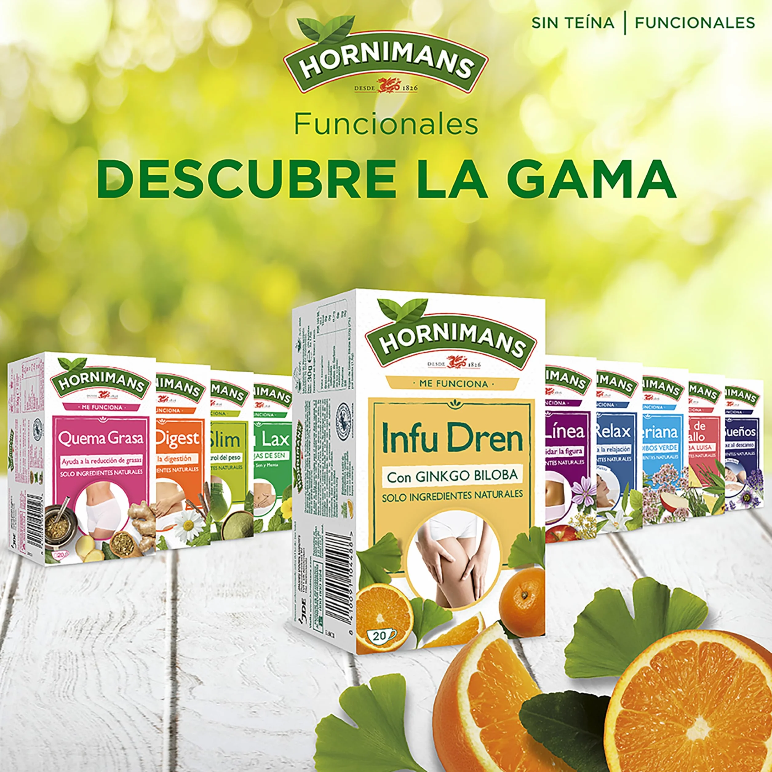 Hornimans Infu Dren Ginkgo Biloba Cola de Caballo 100% Natural 20 bolsitas Sin Teína