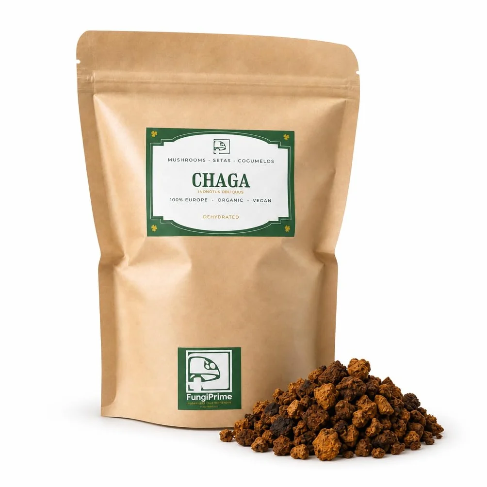 Chaga Deshidratado Premium 75 g Inonotus obliquus antioxidante natural para café té e infusiones
