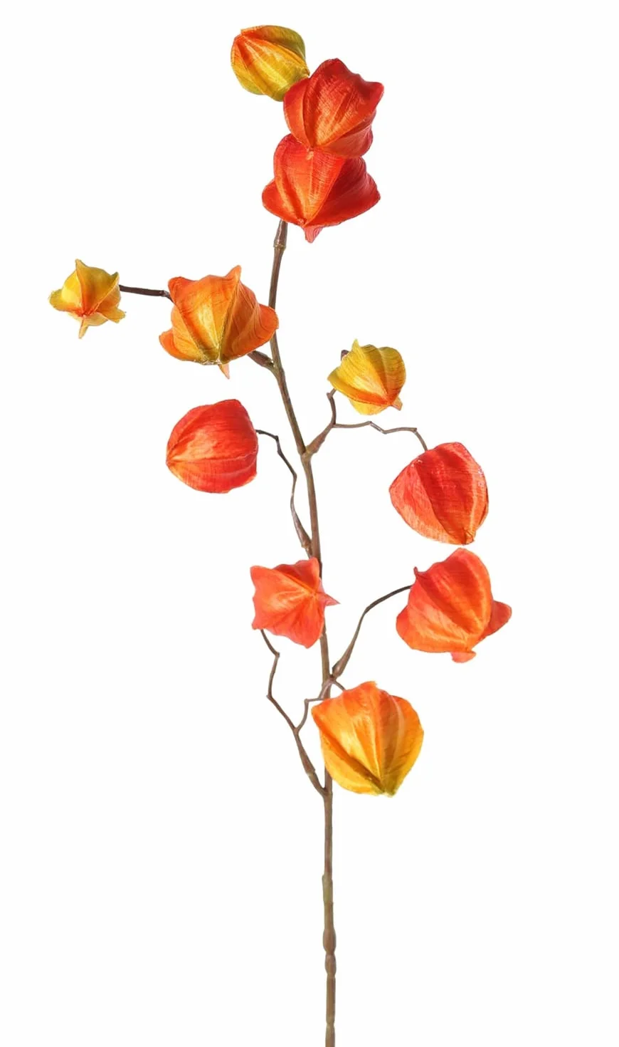 artplants.de Rama Artificial de Physalis PERSEI con Frutos, Naranja, 80cm - Rama Decorativa